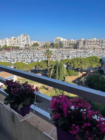 Studio Cabine Vue mer et Port view 4