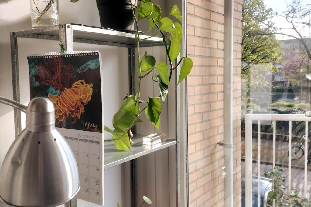Relaxed apartment In Amsterdam east