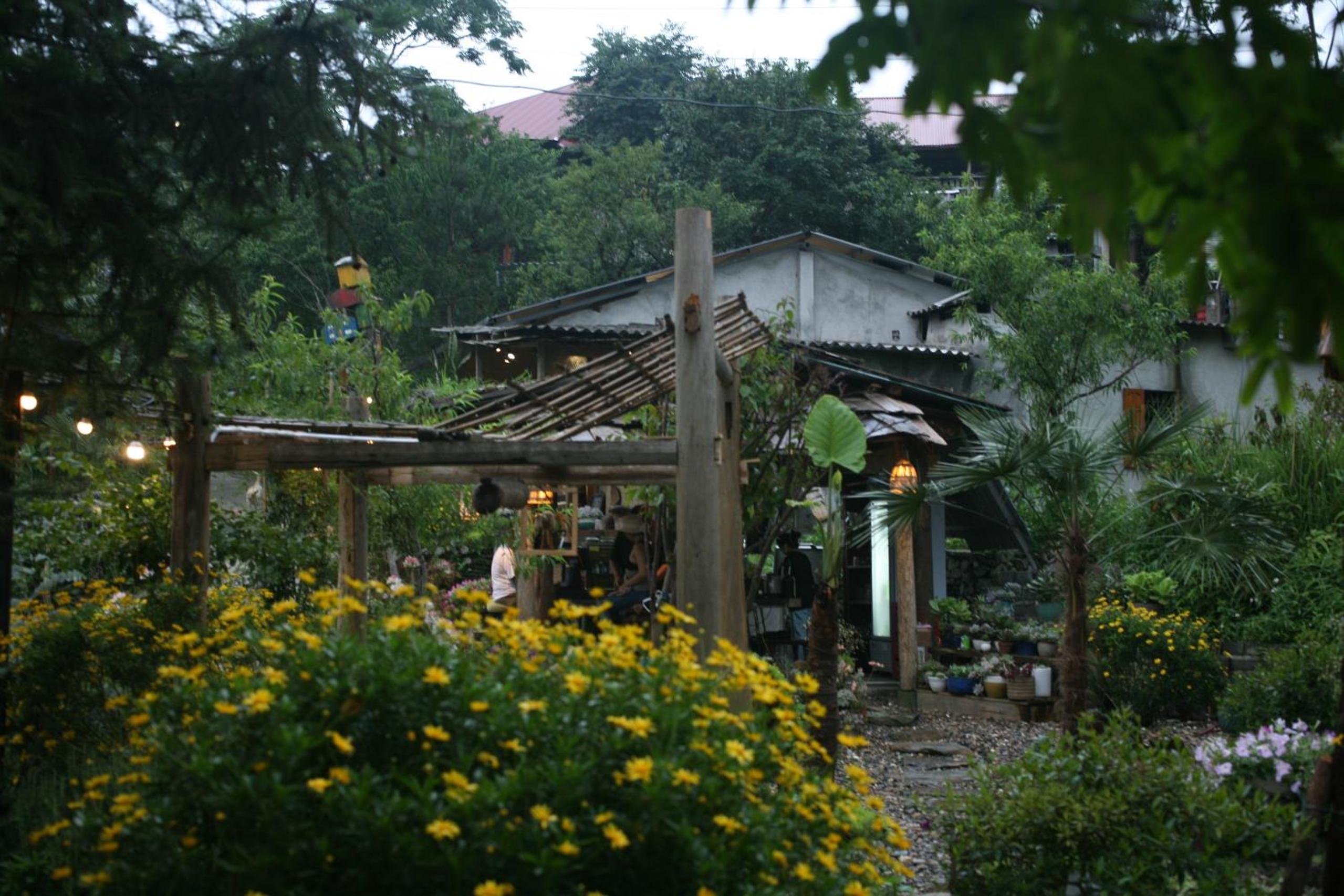 Photo 228