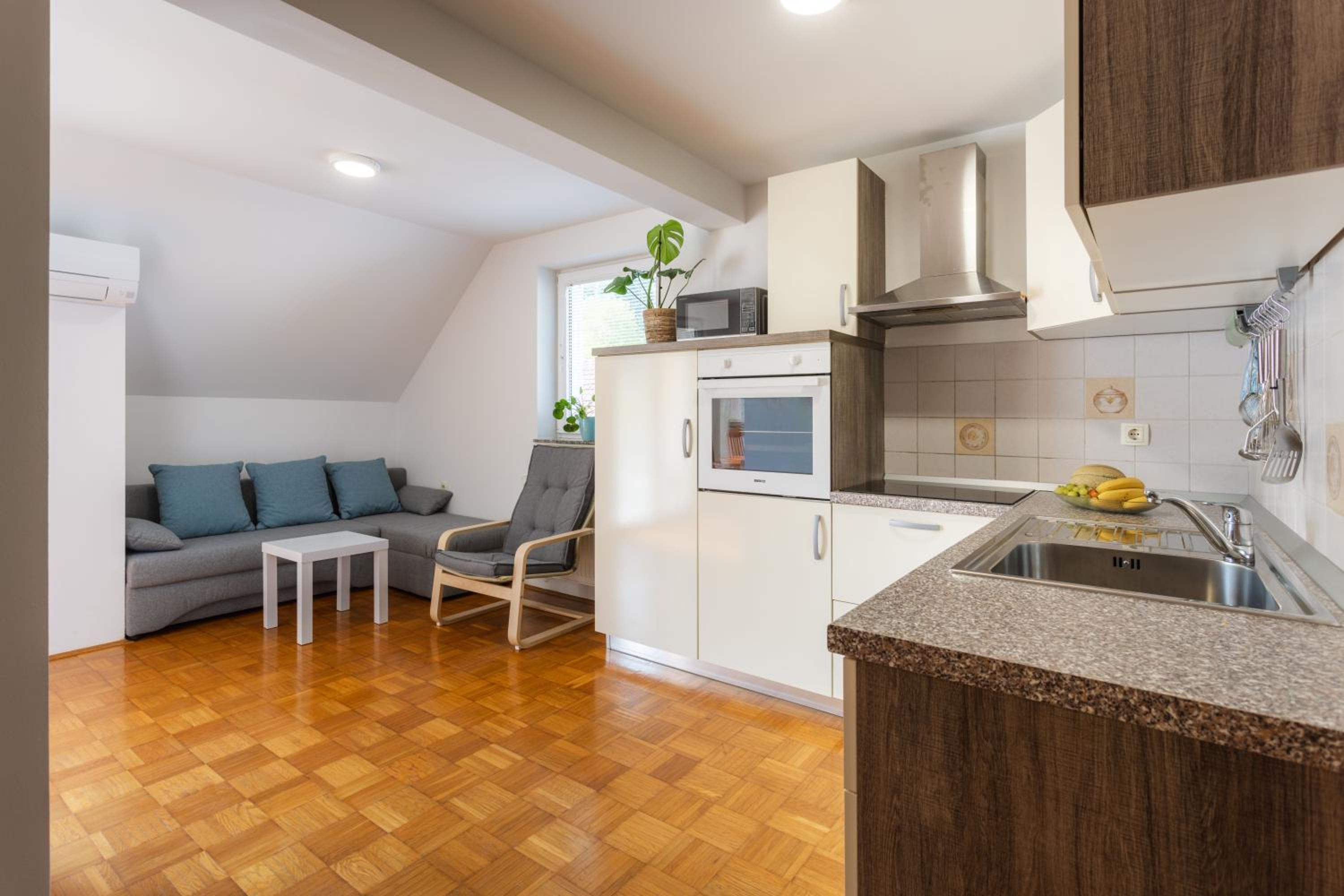 Apartments Leonid