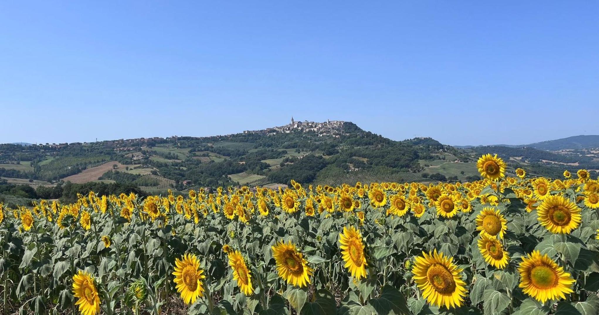 Colle Costanza