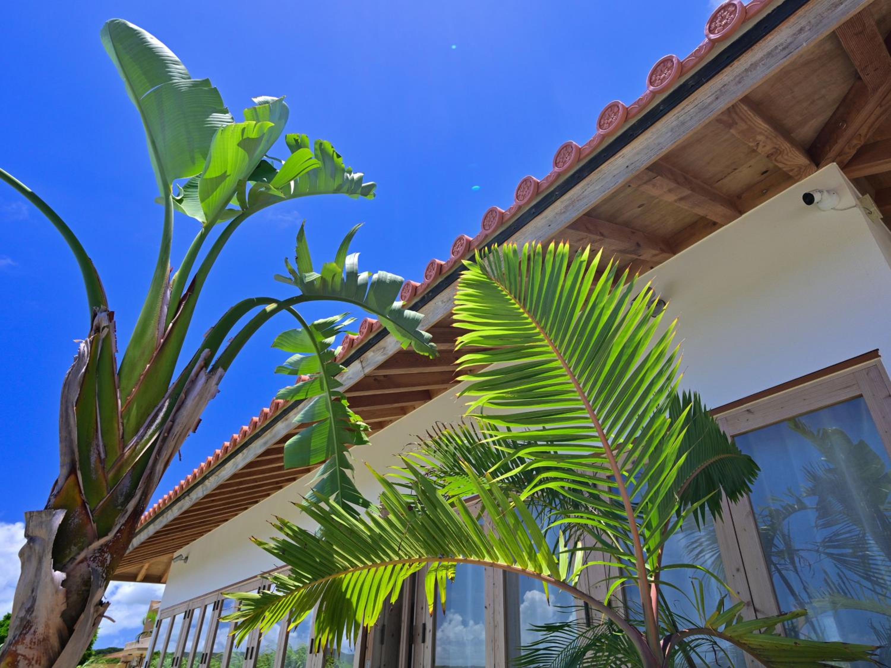 石垣ヒルズ® / ishigaki Hills®