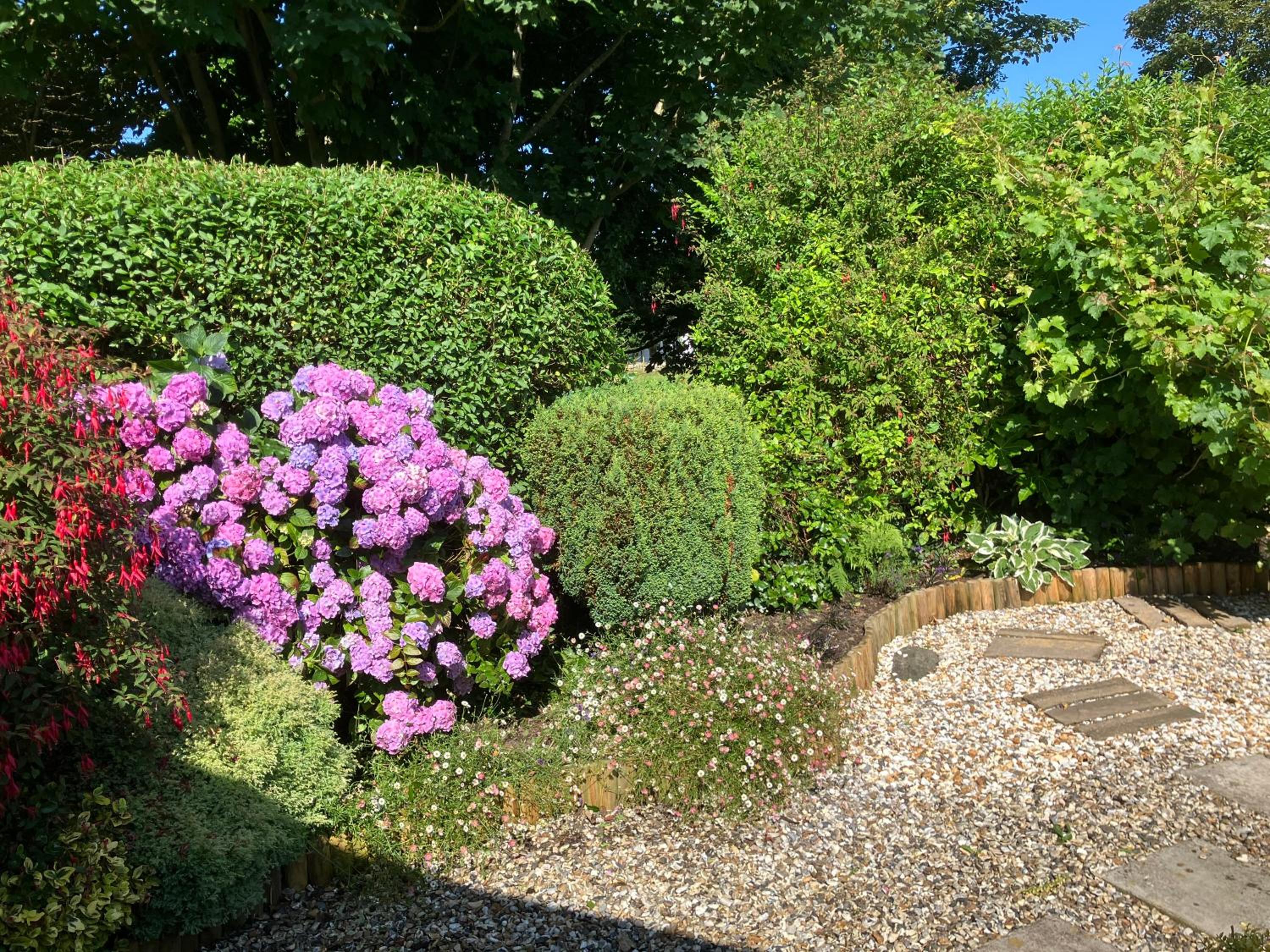 Cosy Cottage with Quiet Garden view 3