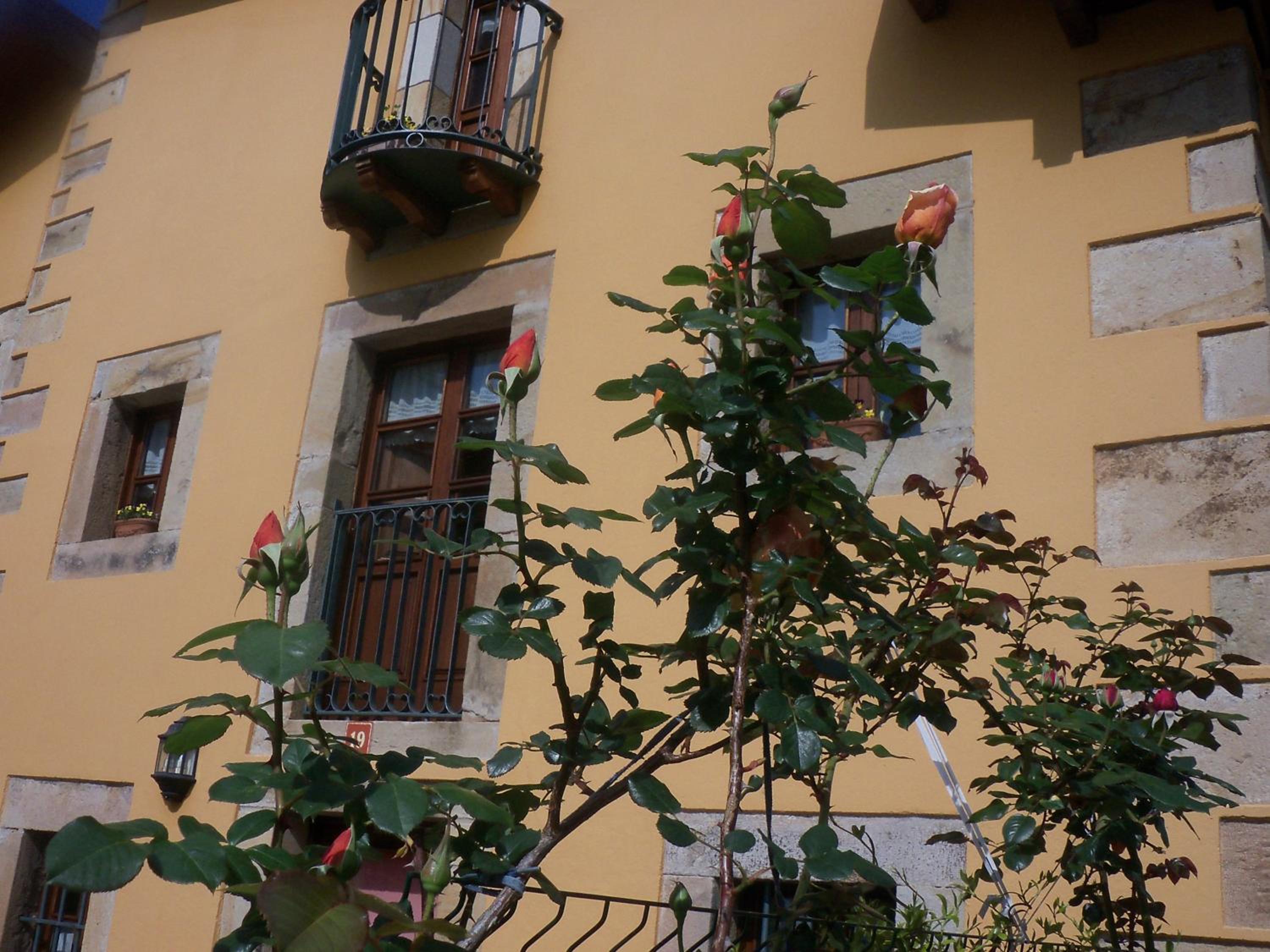 Apartamentos Rurales La Casa Vieja De Silió