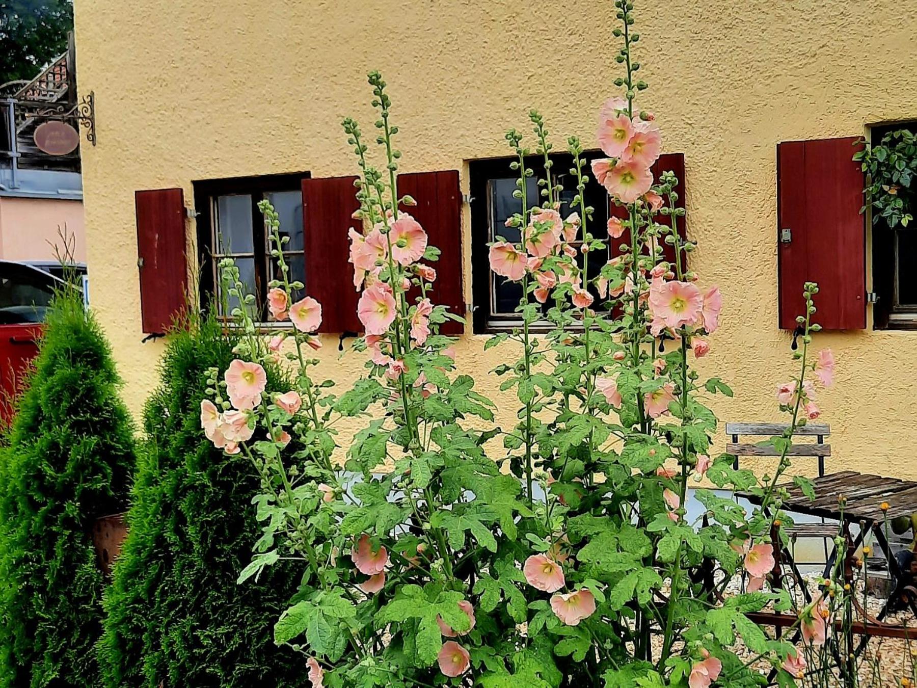 Nette's Ferienhaus