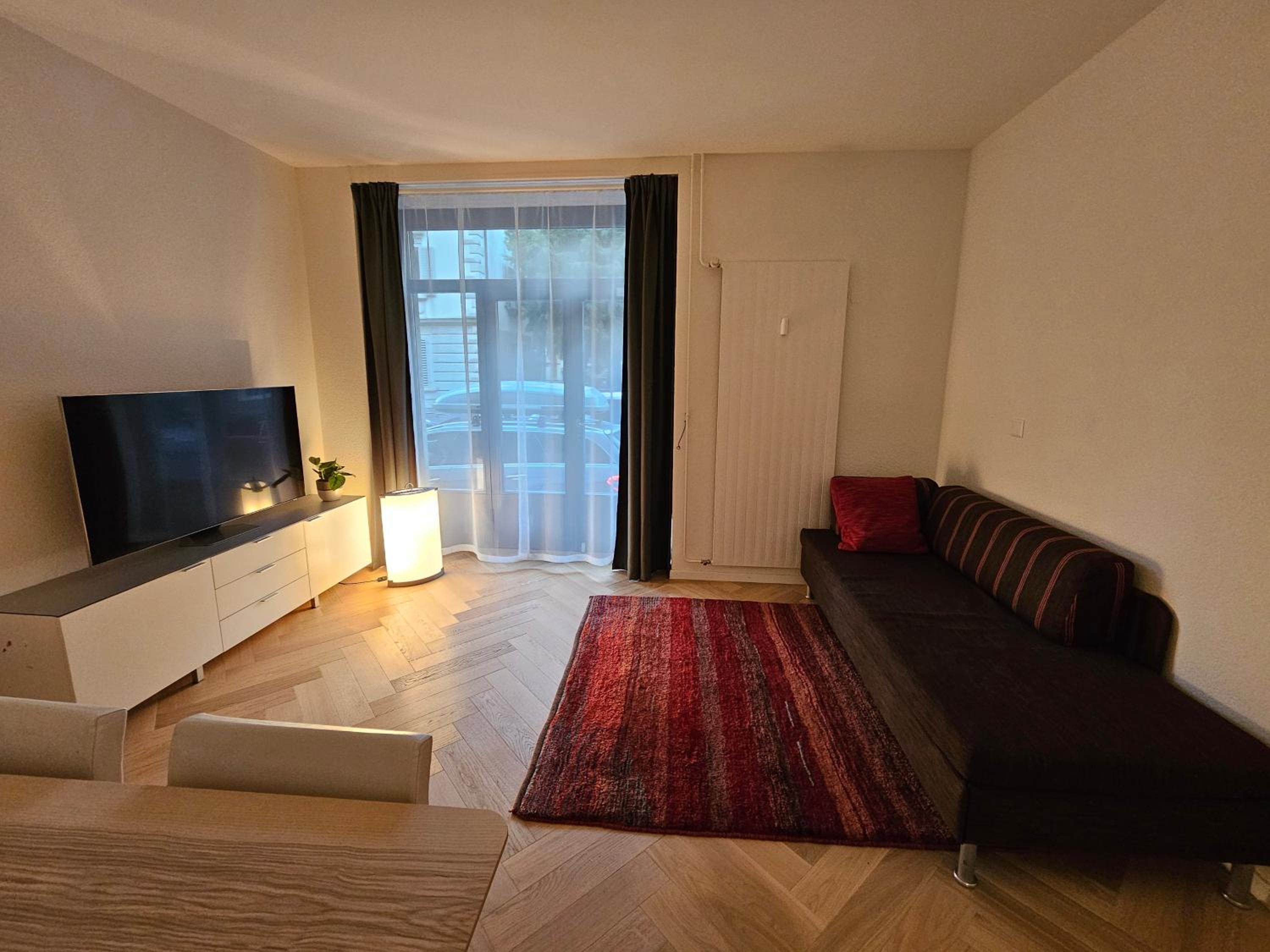 New 2 BR Apartment - 15min from Paradeplatz