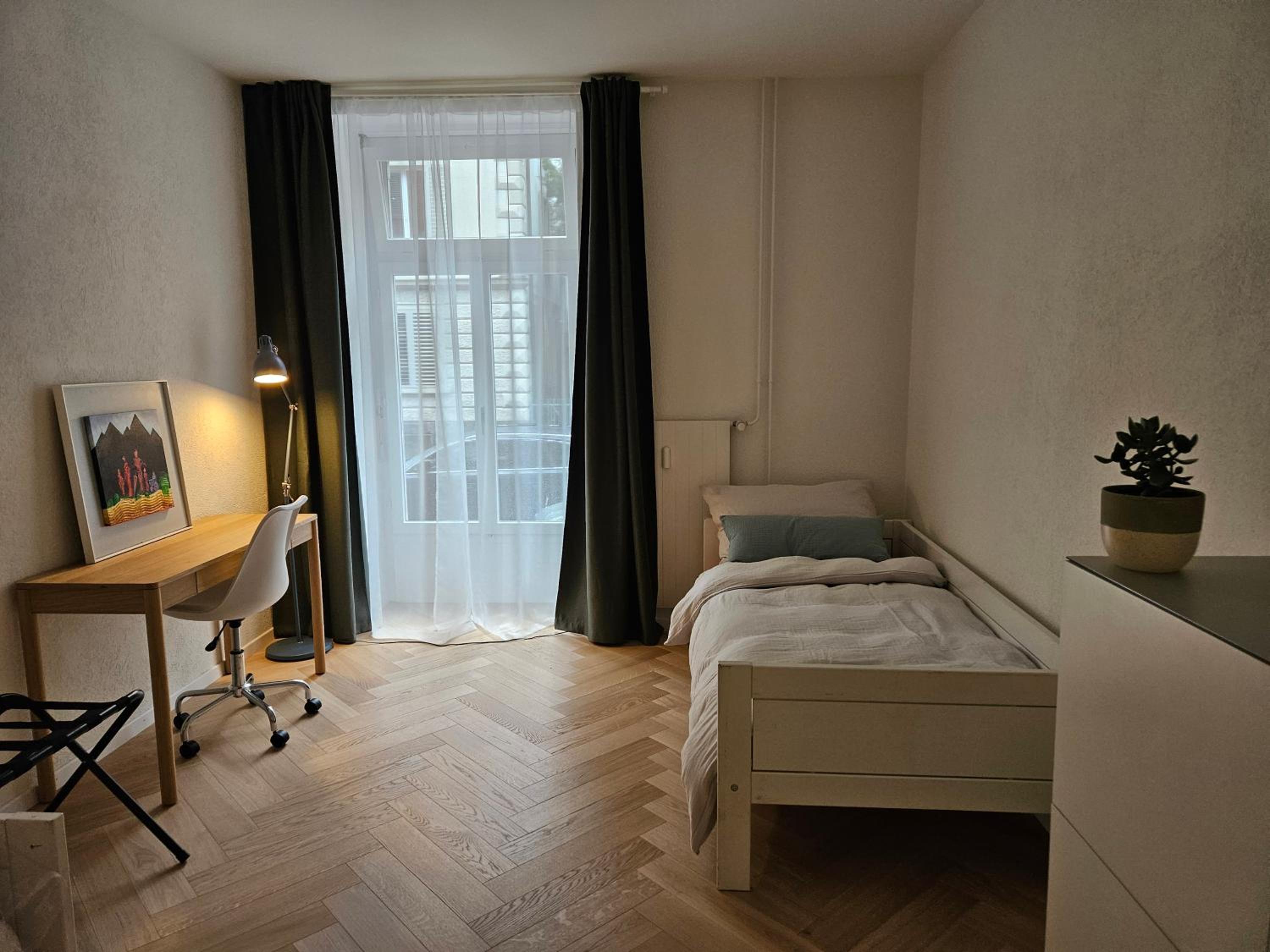 New 2 BR Apartment - 15min from Paradeplatz