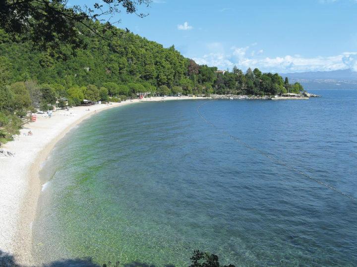Medveja