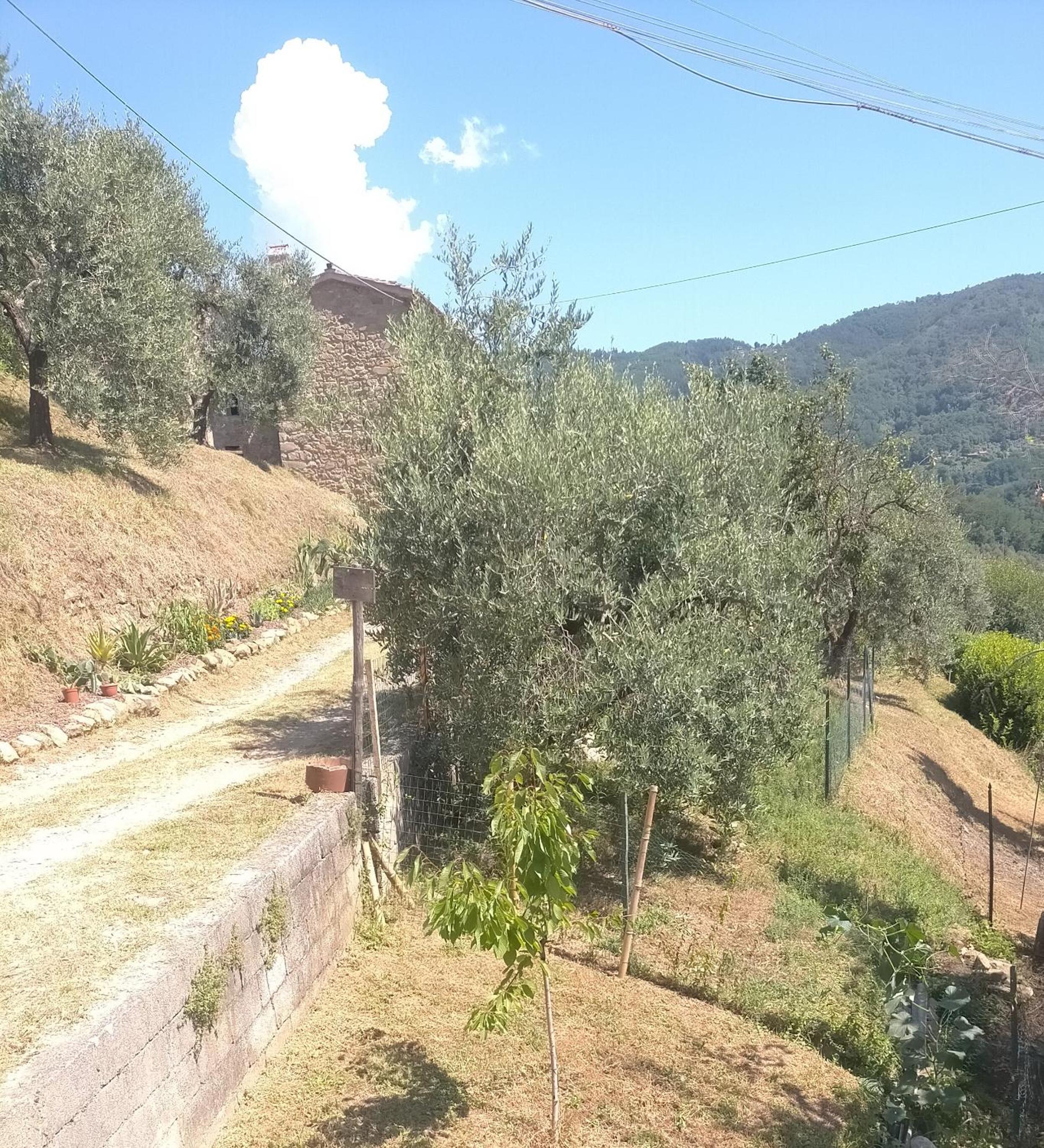 Photo 26