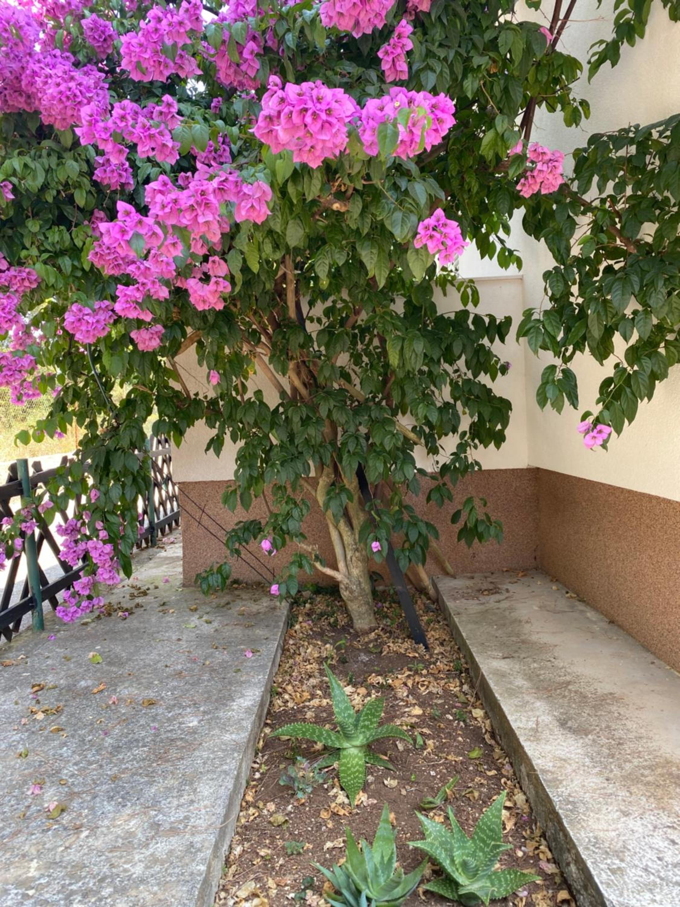 Apartman Bari Petrcane view 5