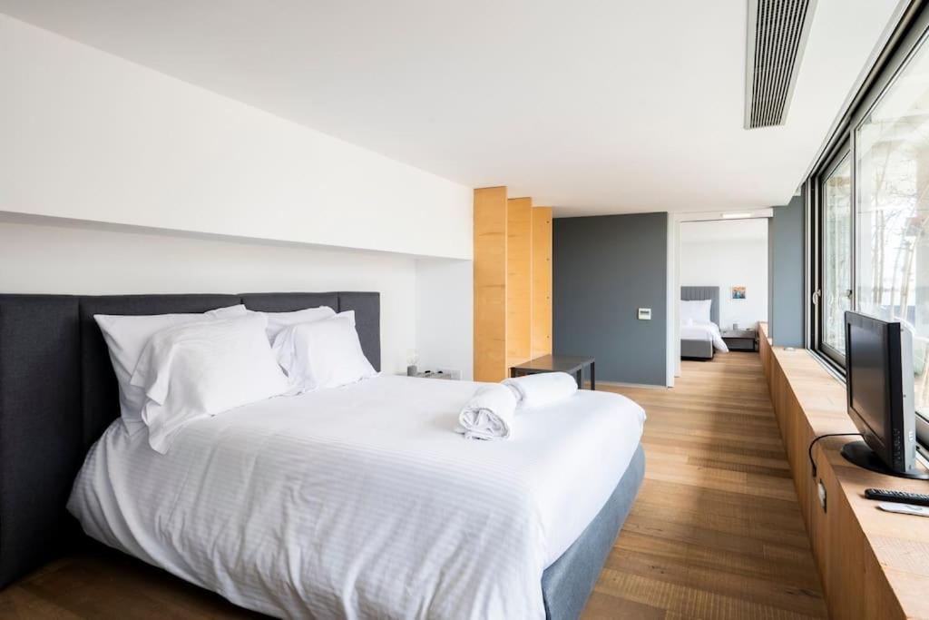 The Loft Penthouse in the Heart of City Center