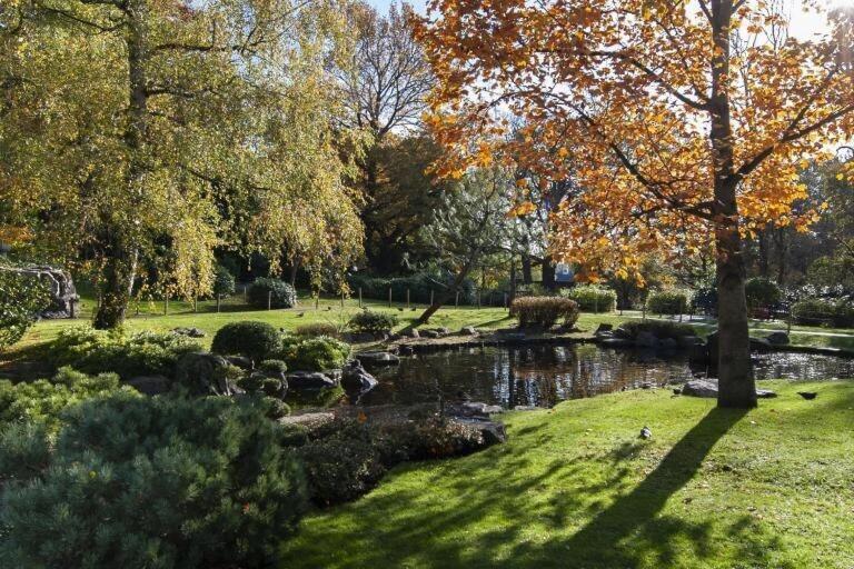1-bed apartment, Close to Kensington Olympia with Free Wi-Fi & Netflix
