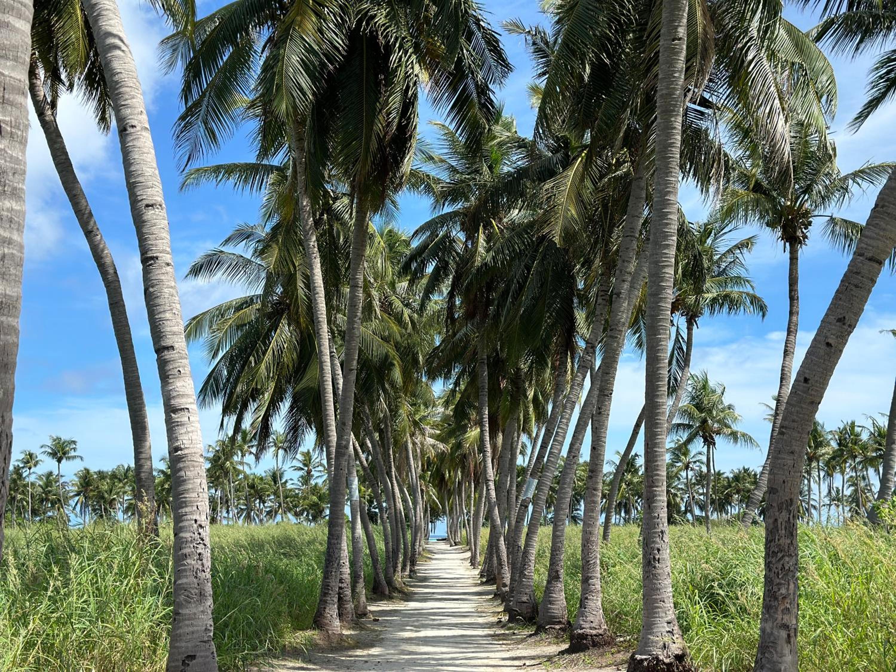 Boli Villa Thoddoo view 3