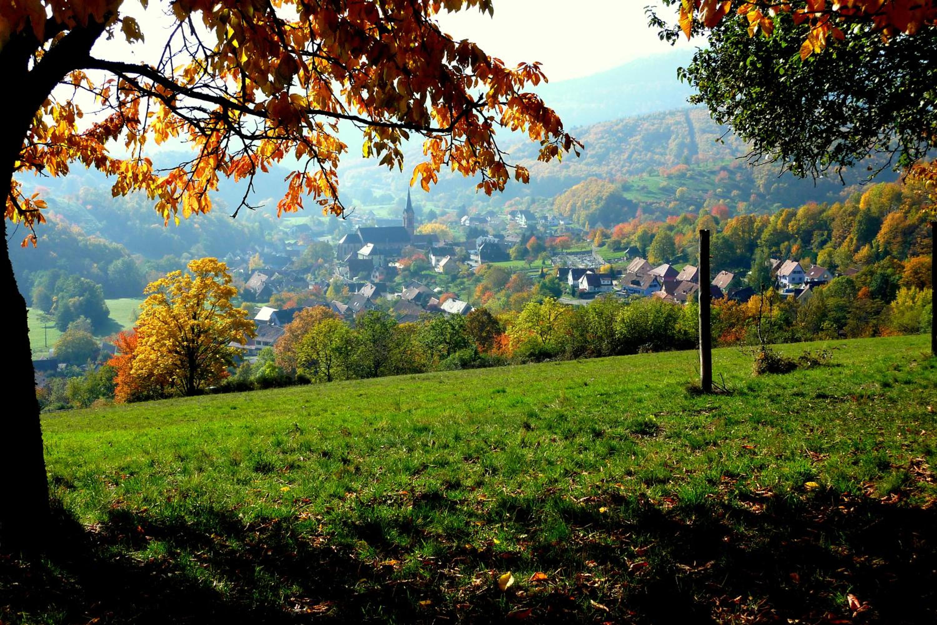 Gîte Schlitteur Et Sapiniere view 4