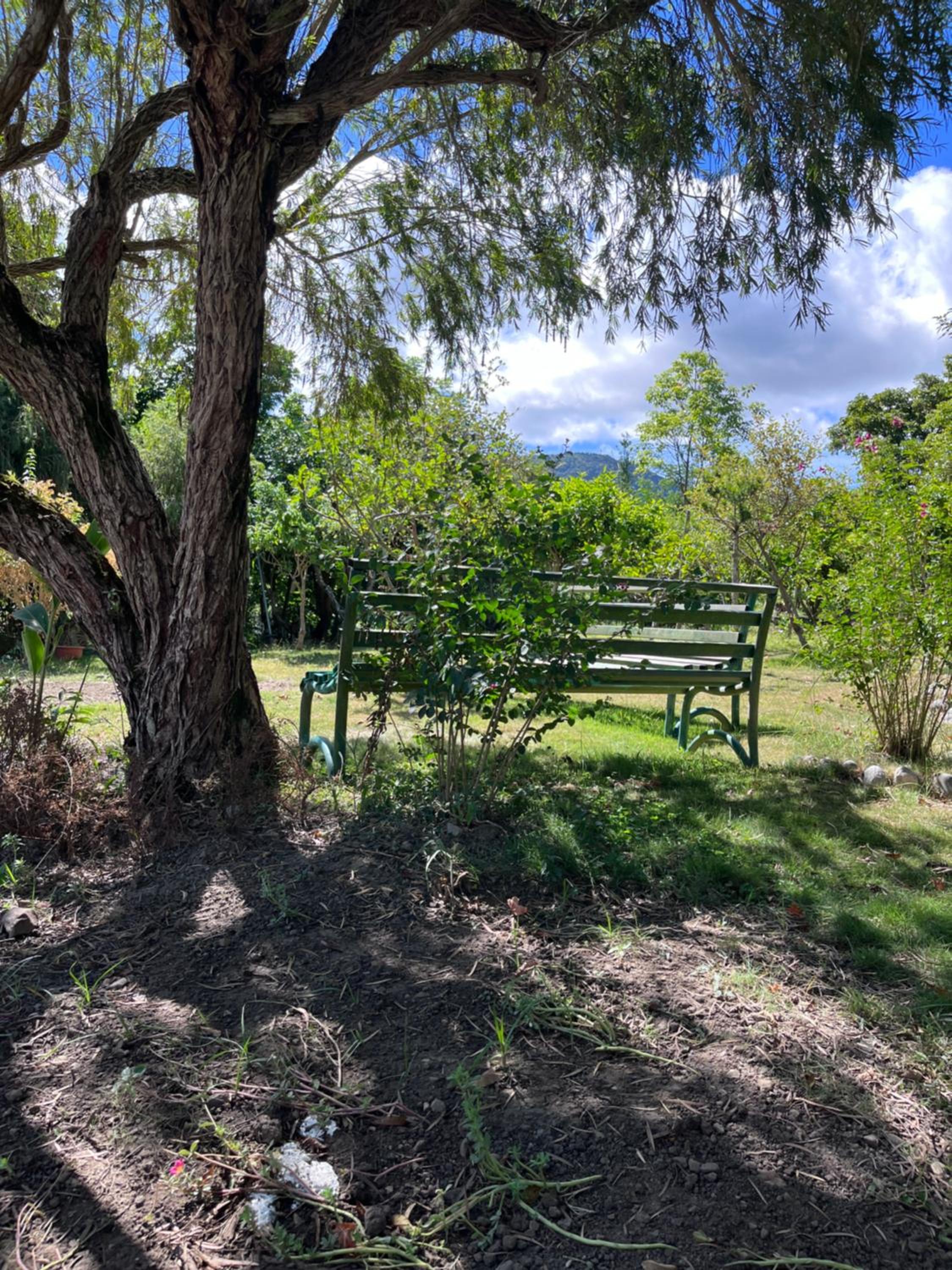 Photo 18