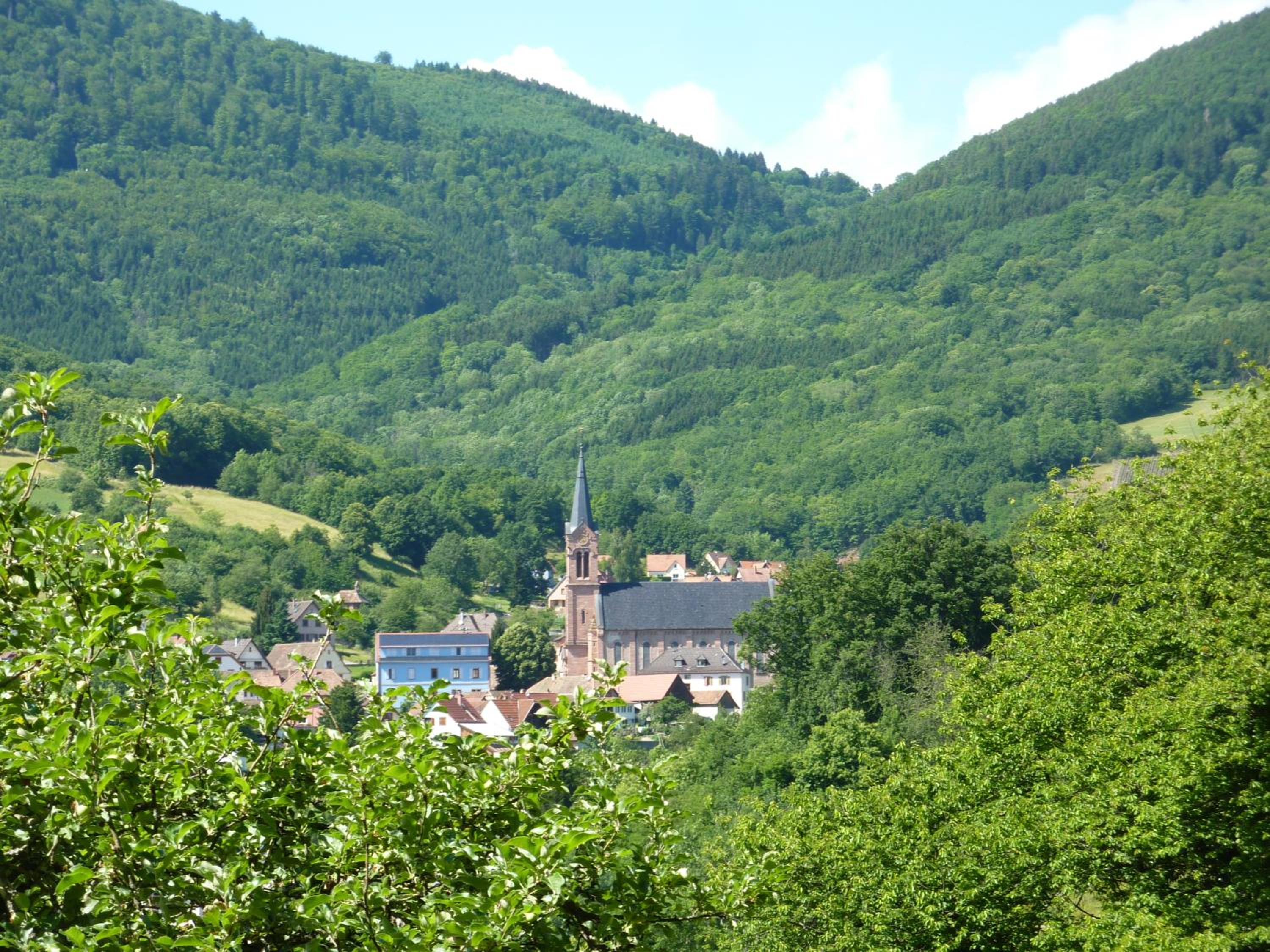 Photo 14