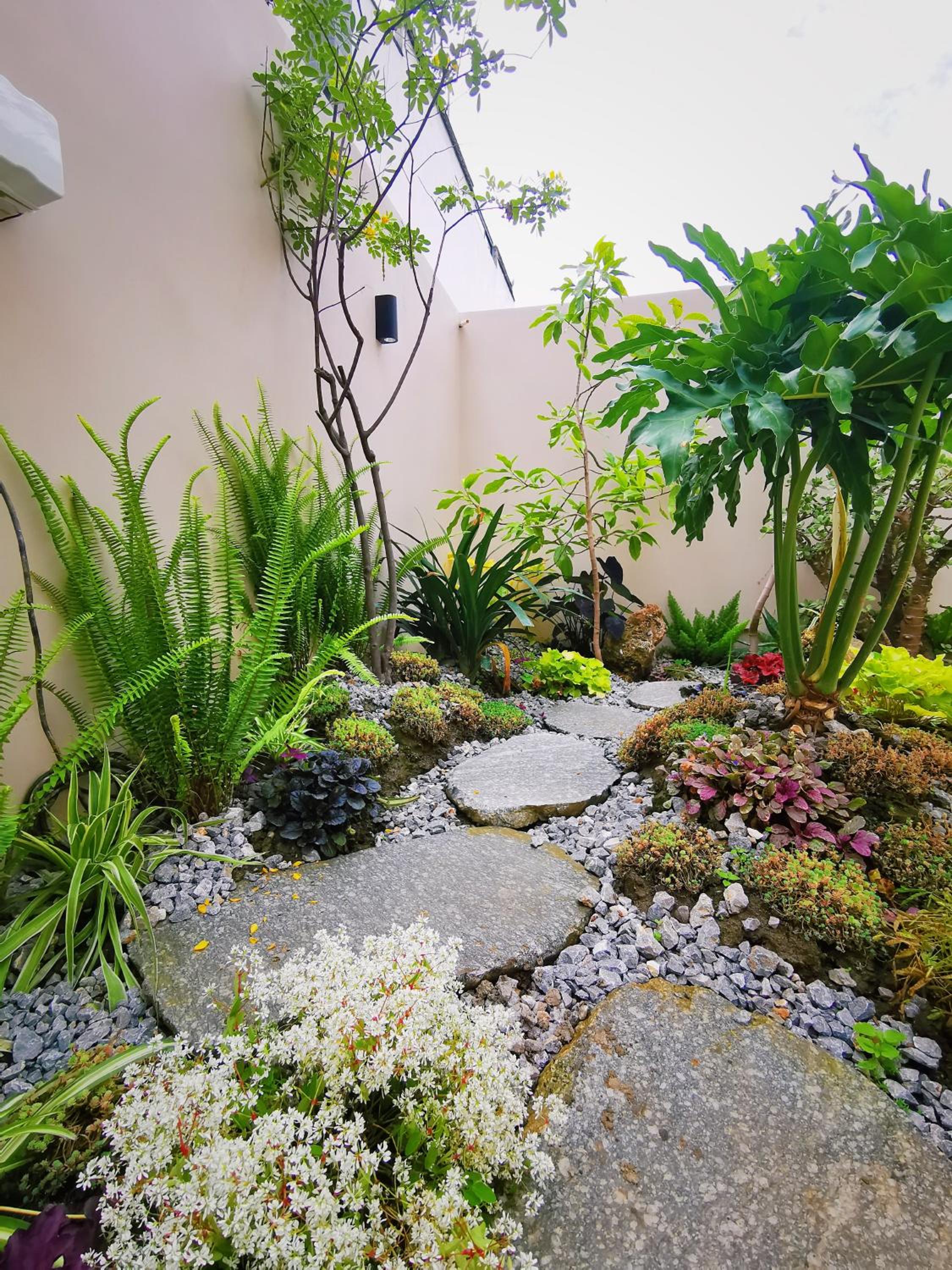 Dali Vietian Guesthouse微甜