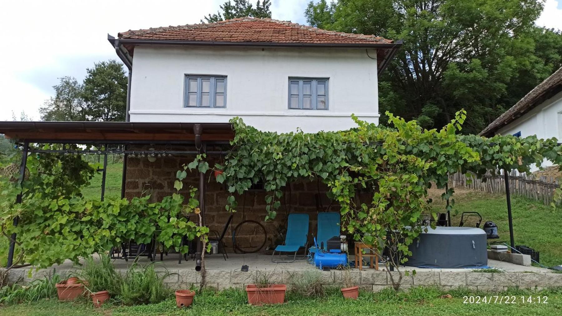 Vila Miona