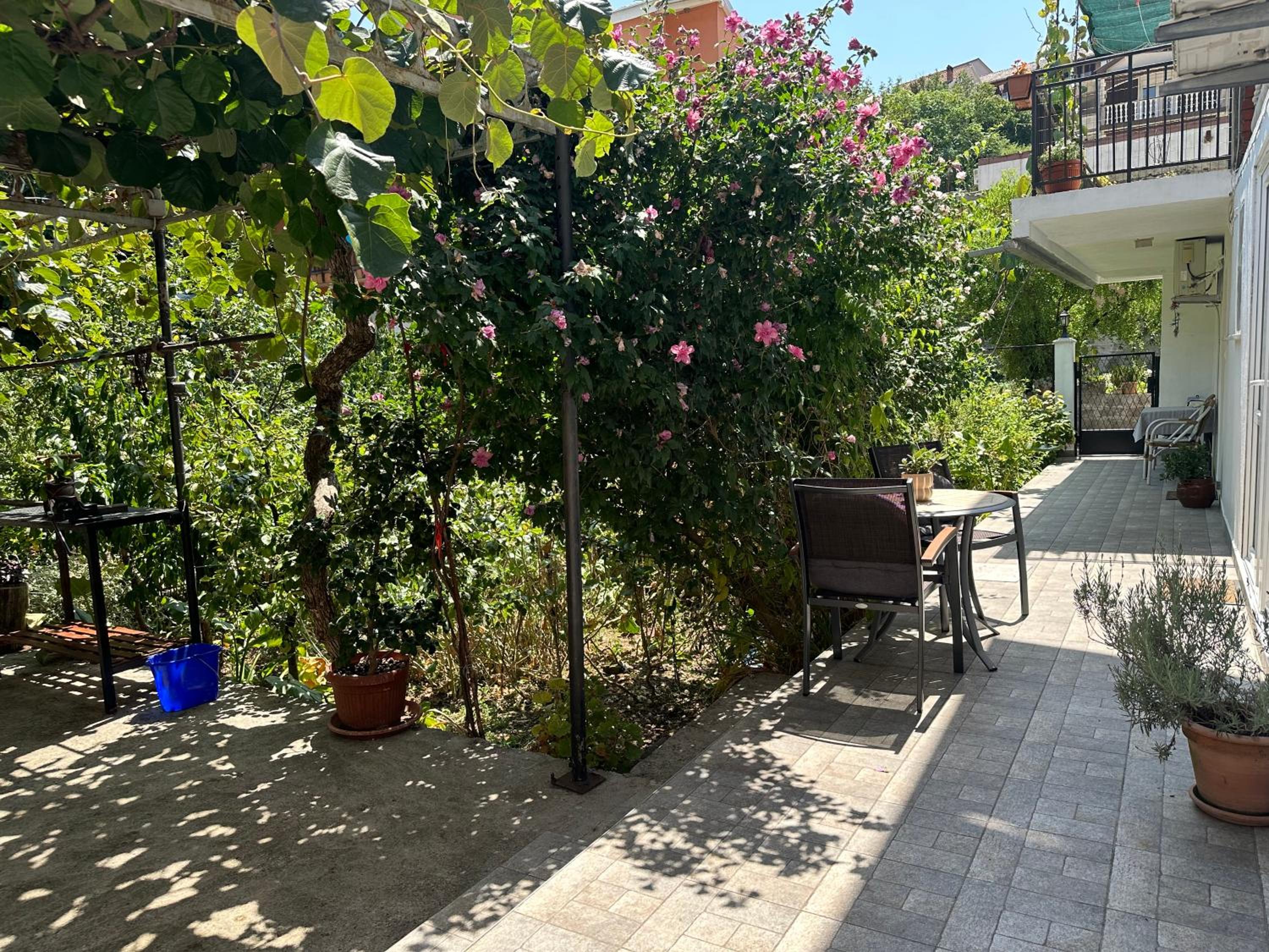Apartments Suzana