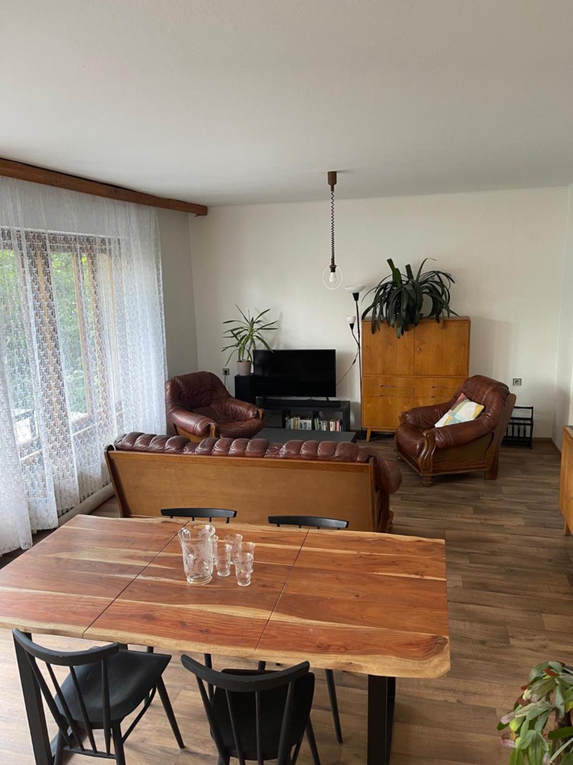 Apartment s terasou Lysá