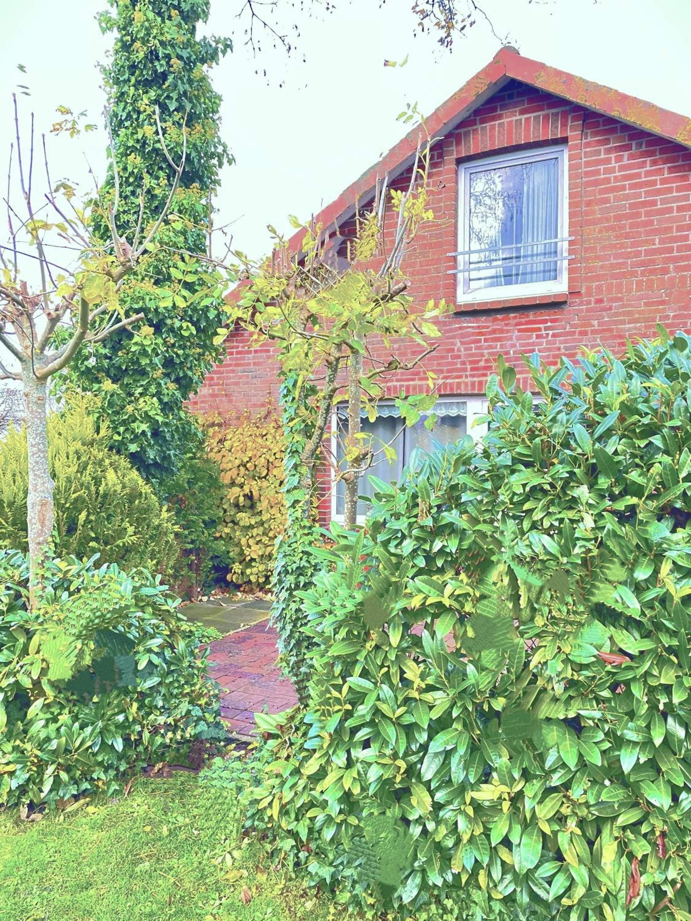Ferienhaus Wiesenblick