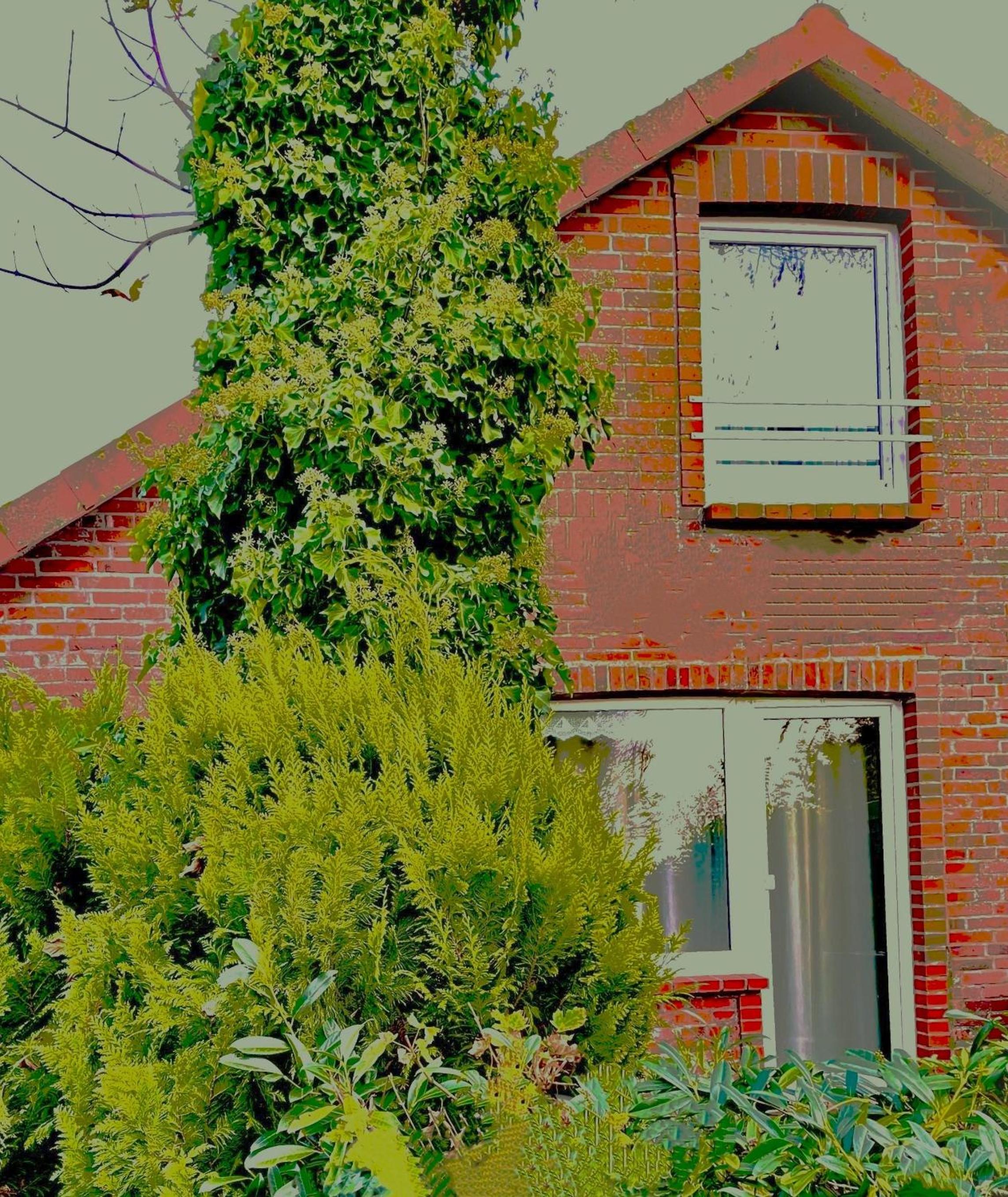 Ferienhaus Wiesenblick