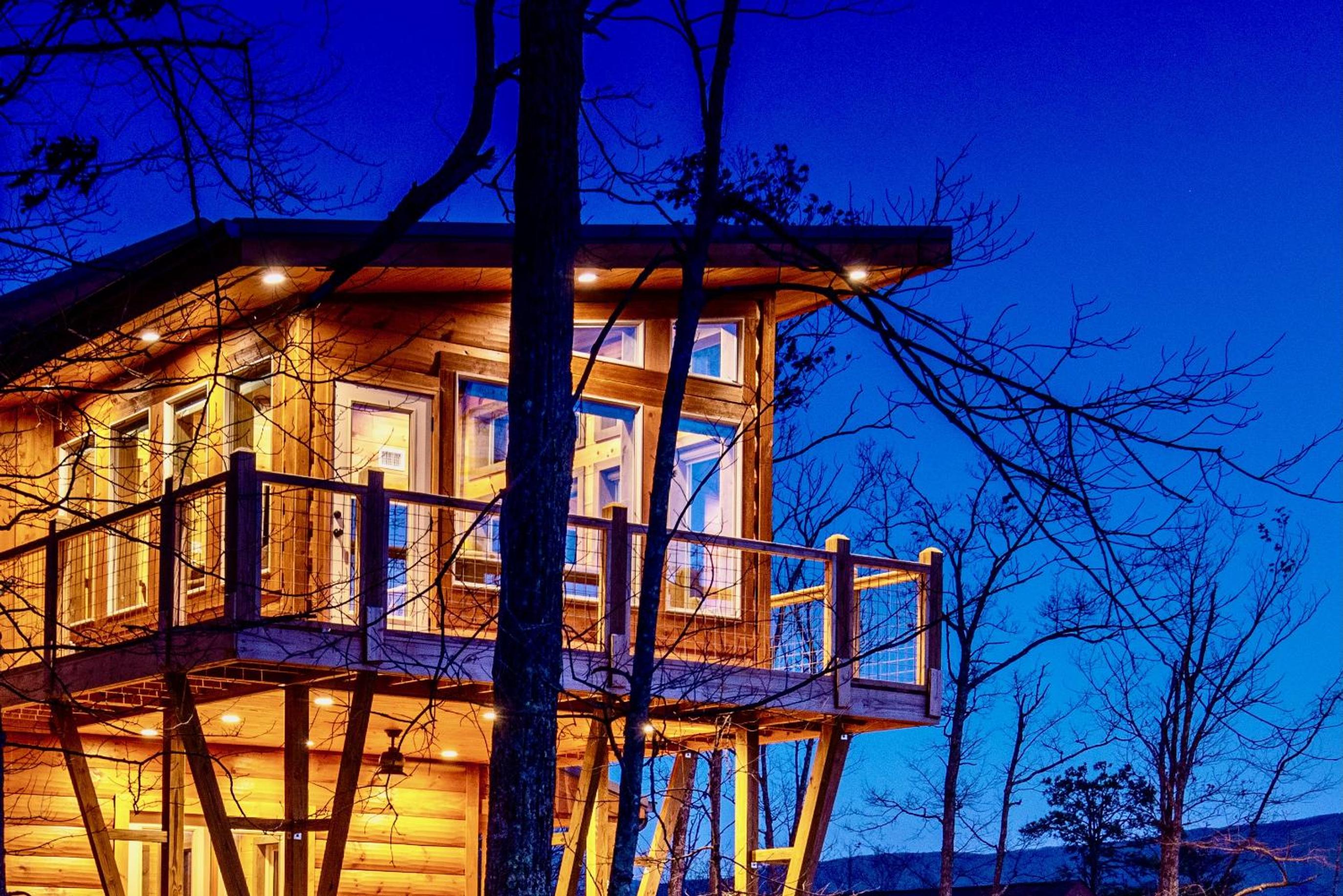 Treetop Treasure