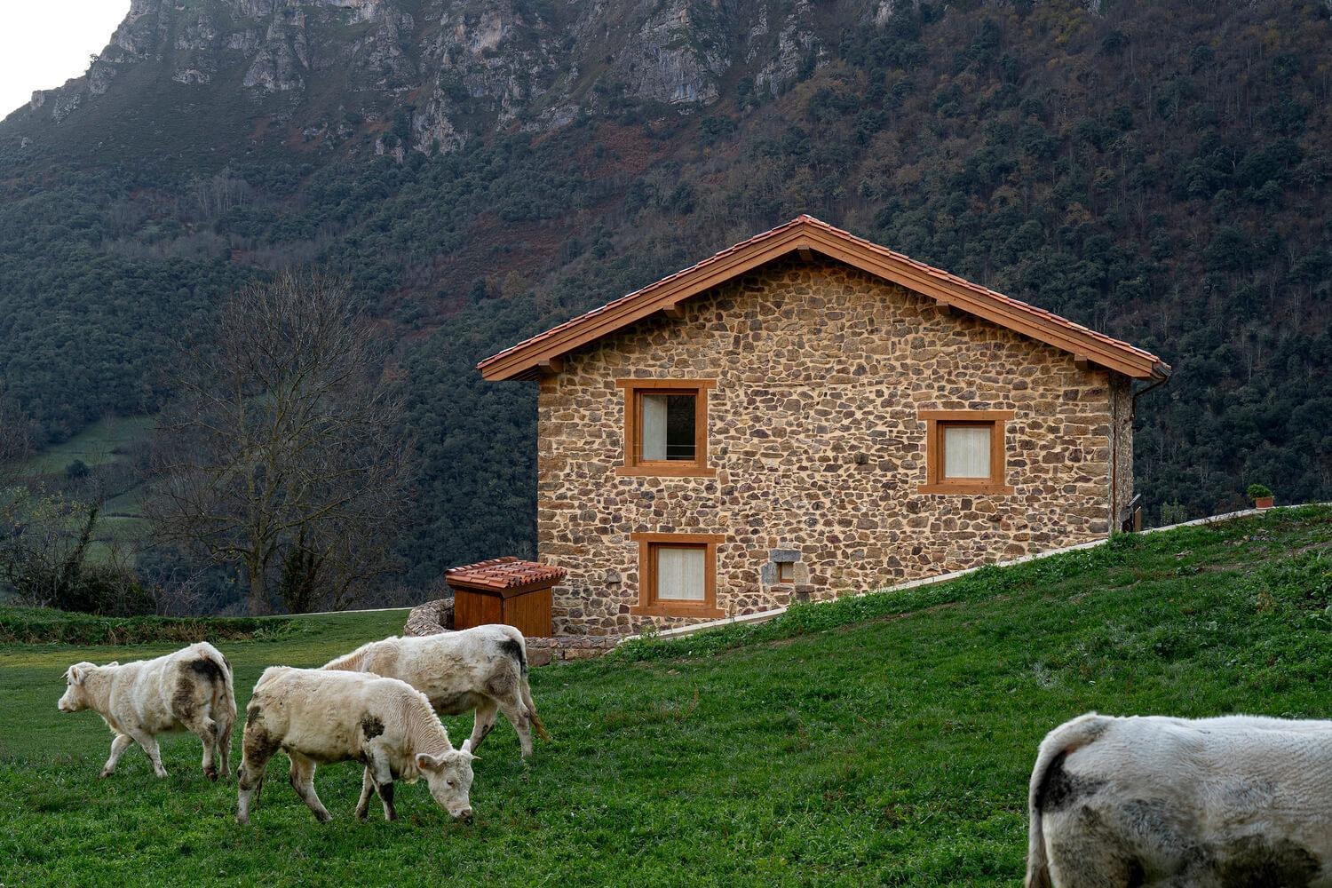Apartamentos Luarna