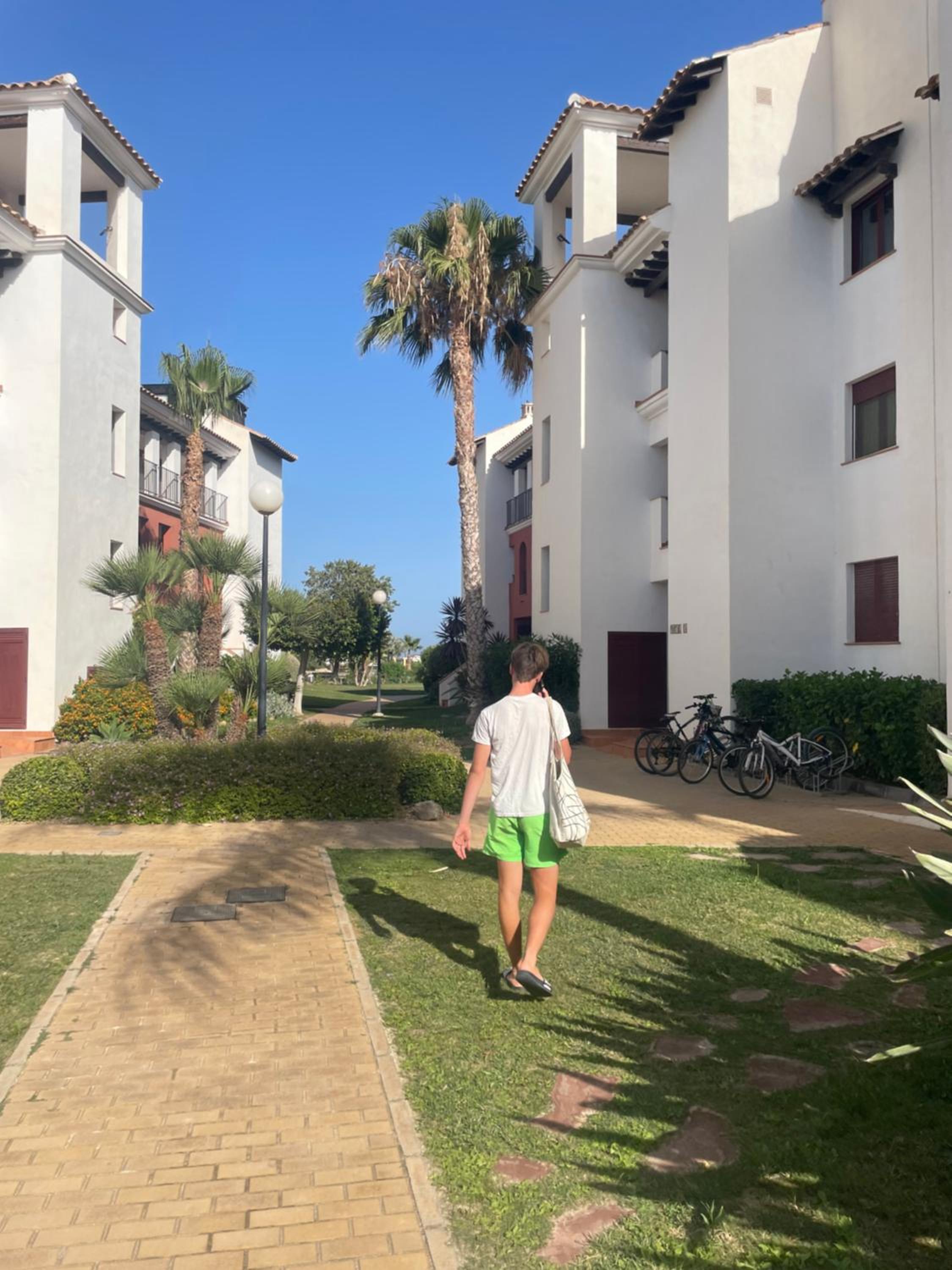 Bajo con jardín en primera línea de playa view 3