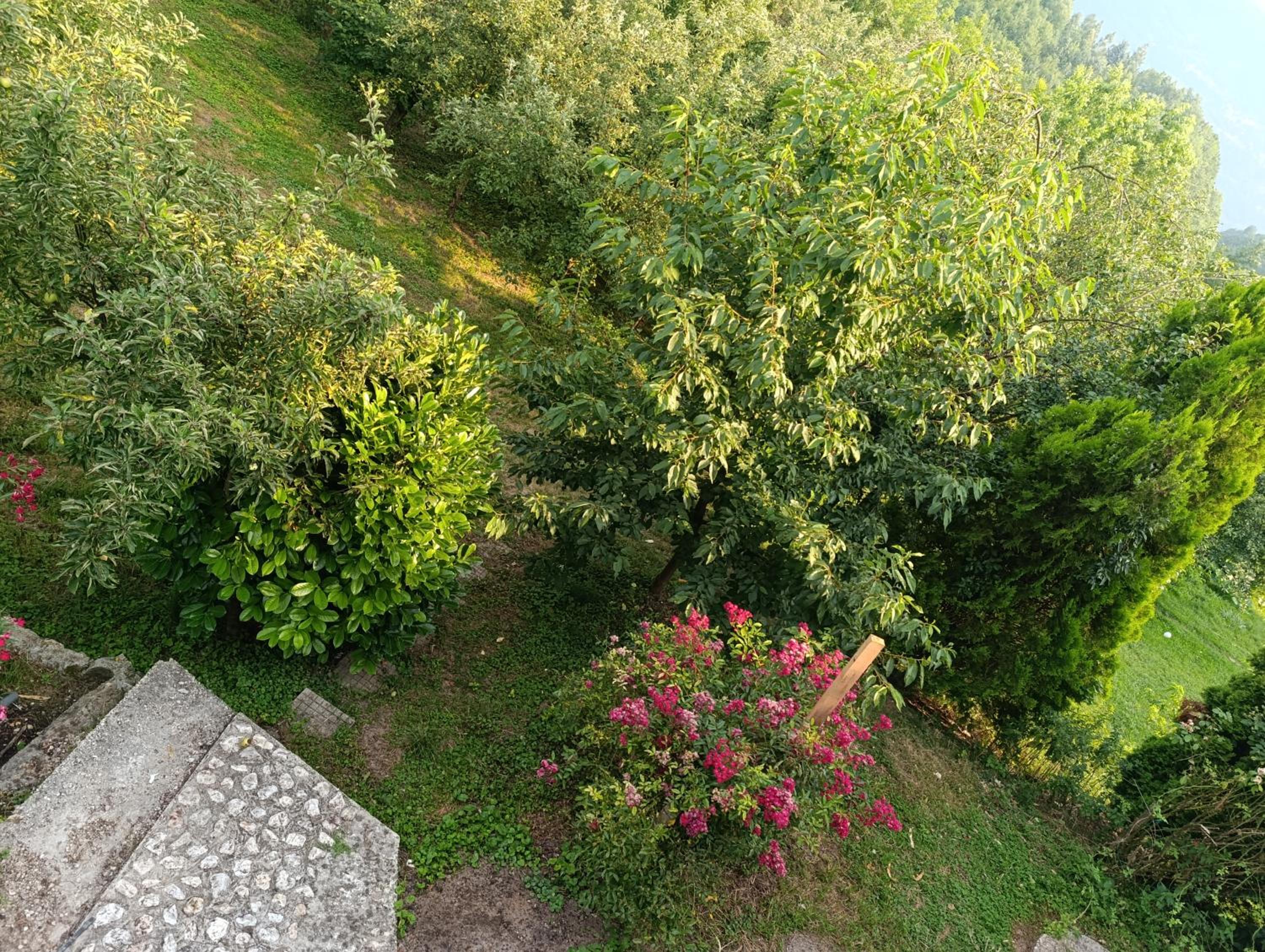 Sarajevo Hills,garage parking and big garden free