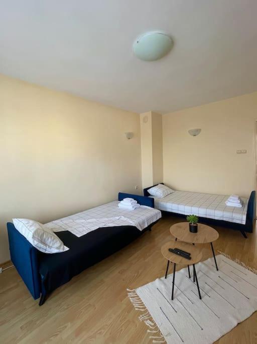 Lovita suite with a garage