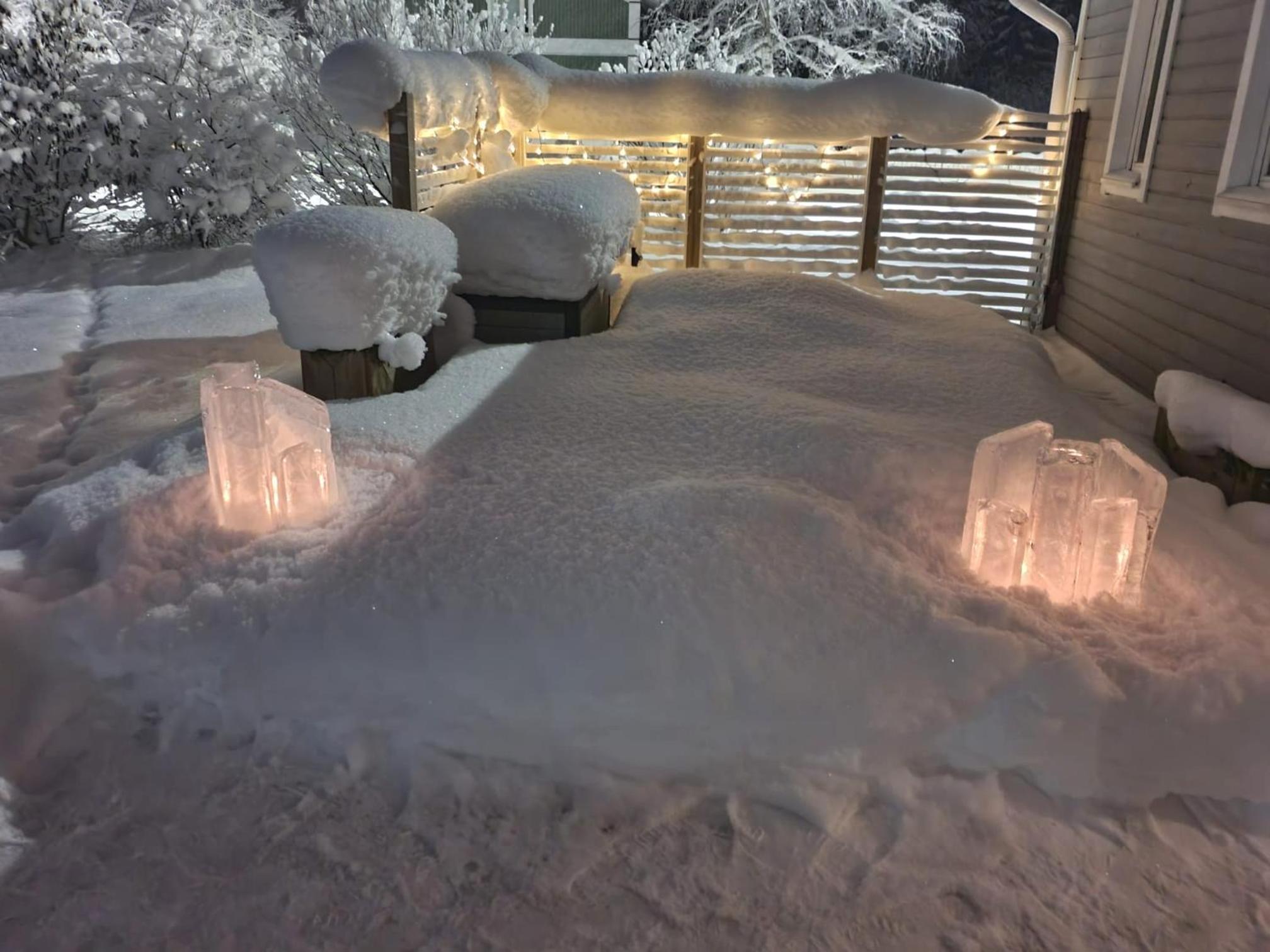 Winter Woods family room