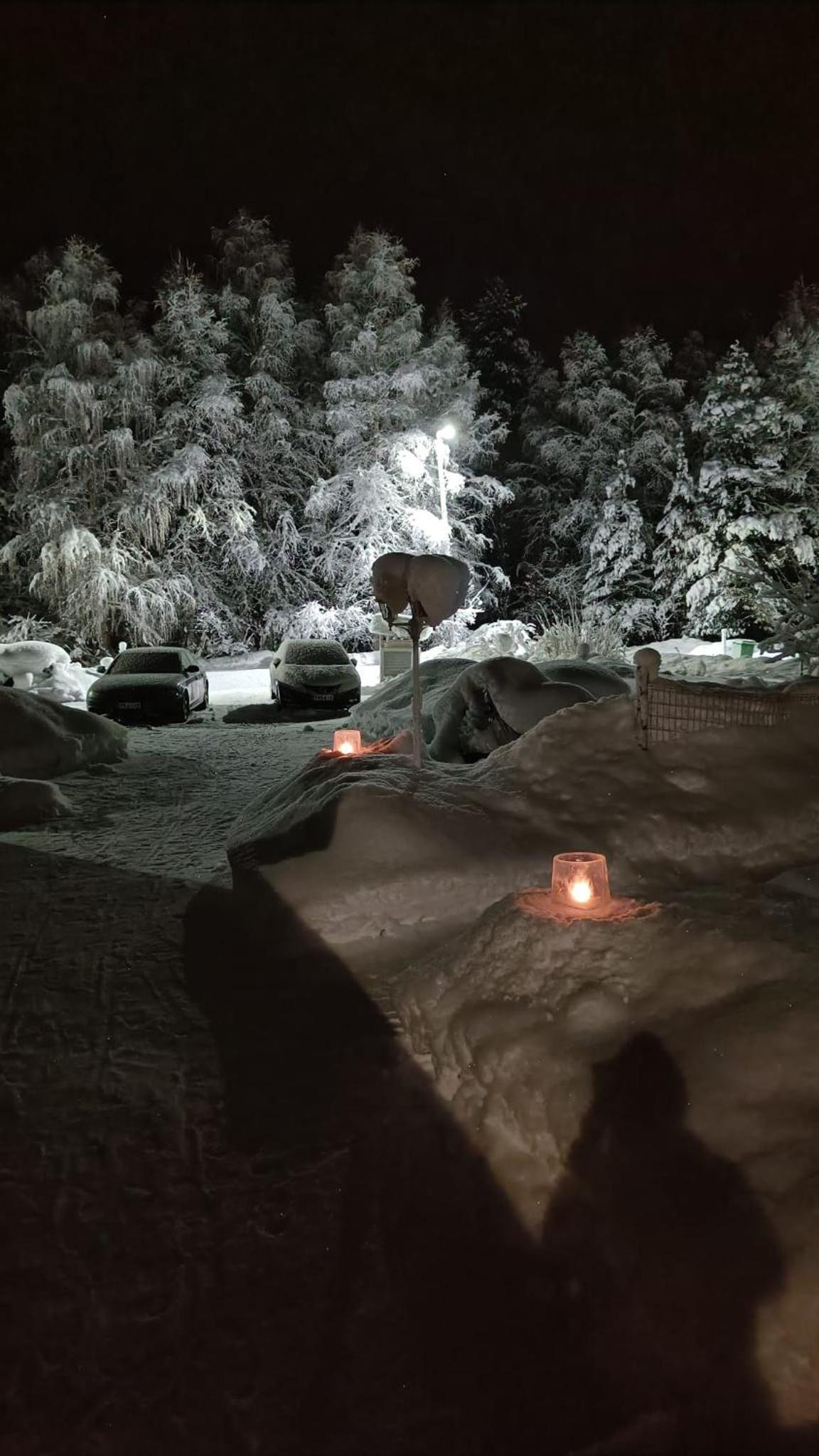 Winter Woods family room