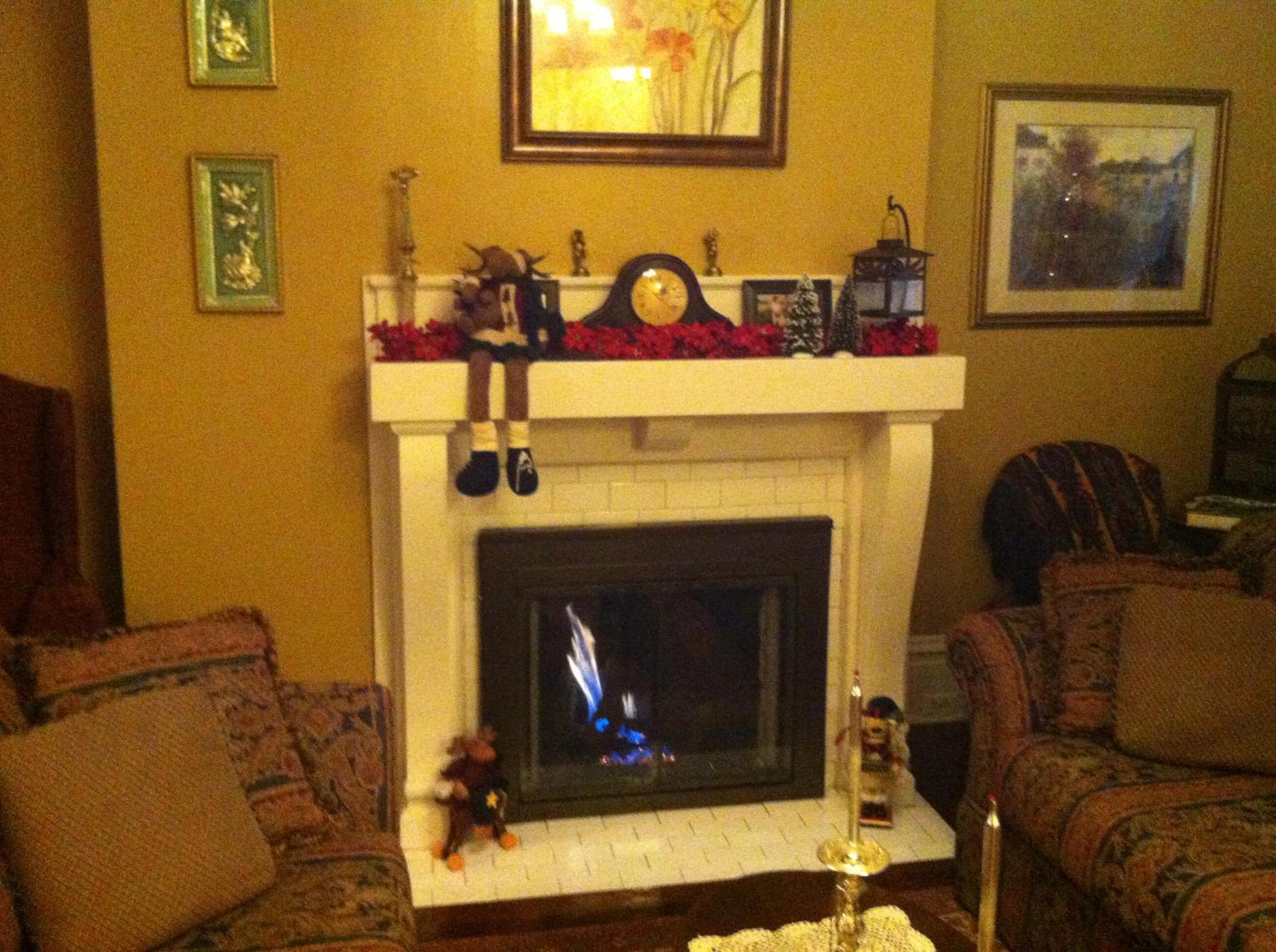 Photo 11