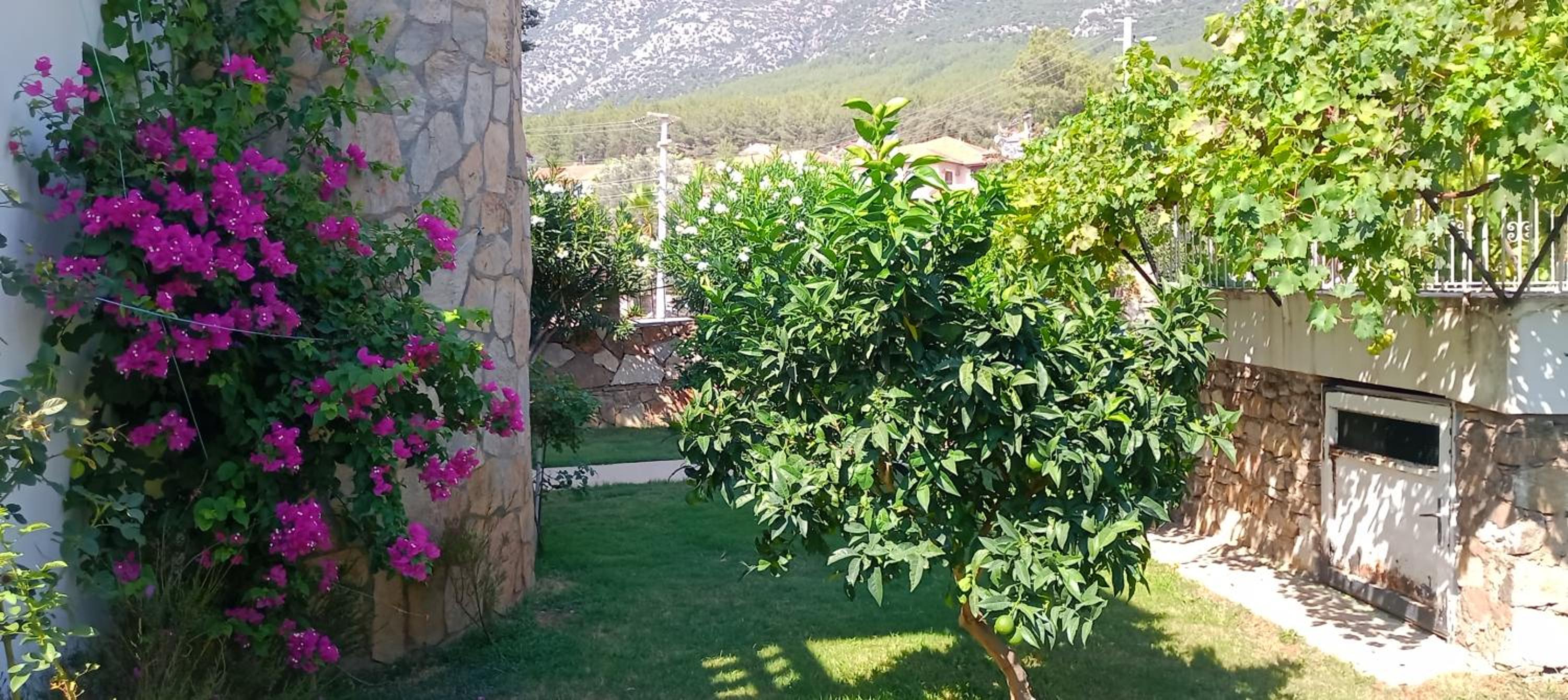 VILLA PALM