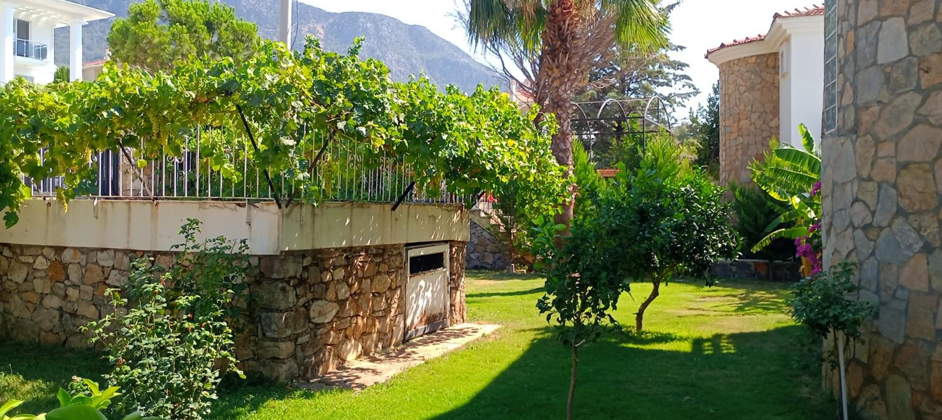 VILLA PALM