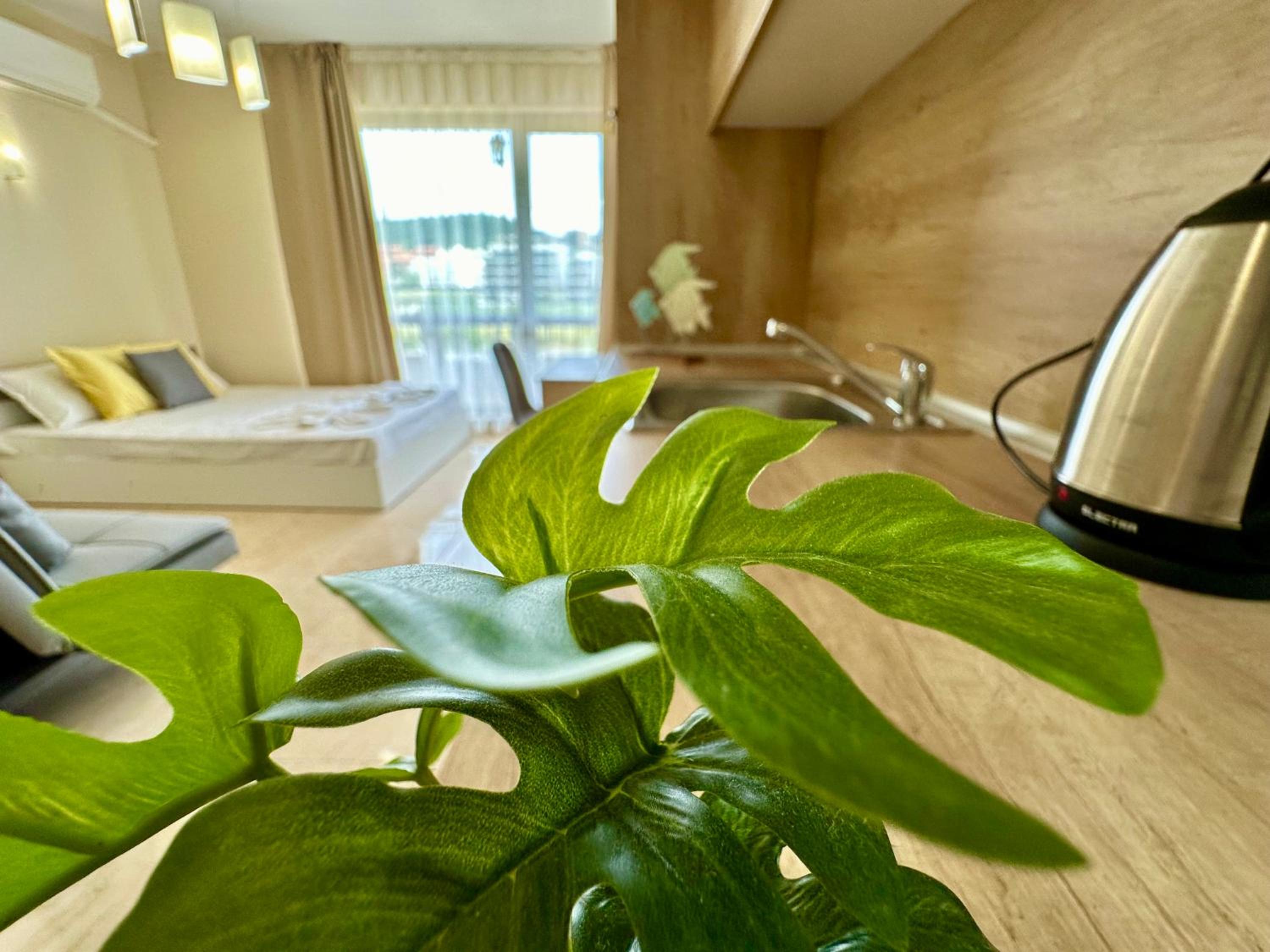 Sea Dreams - Menada Apartments