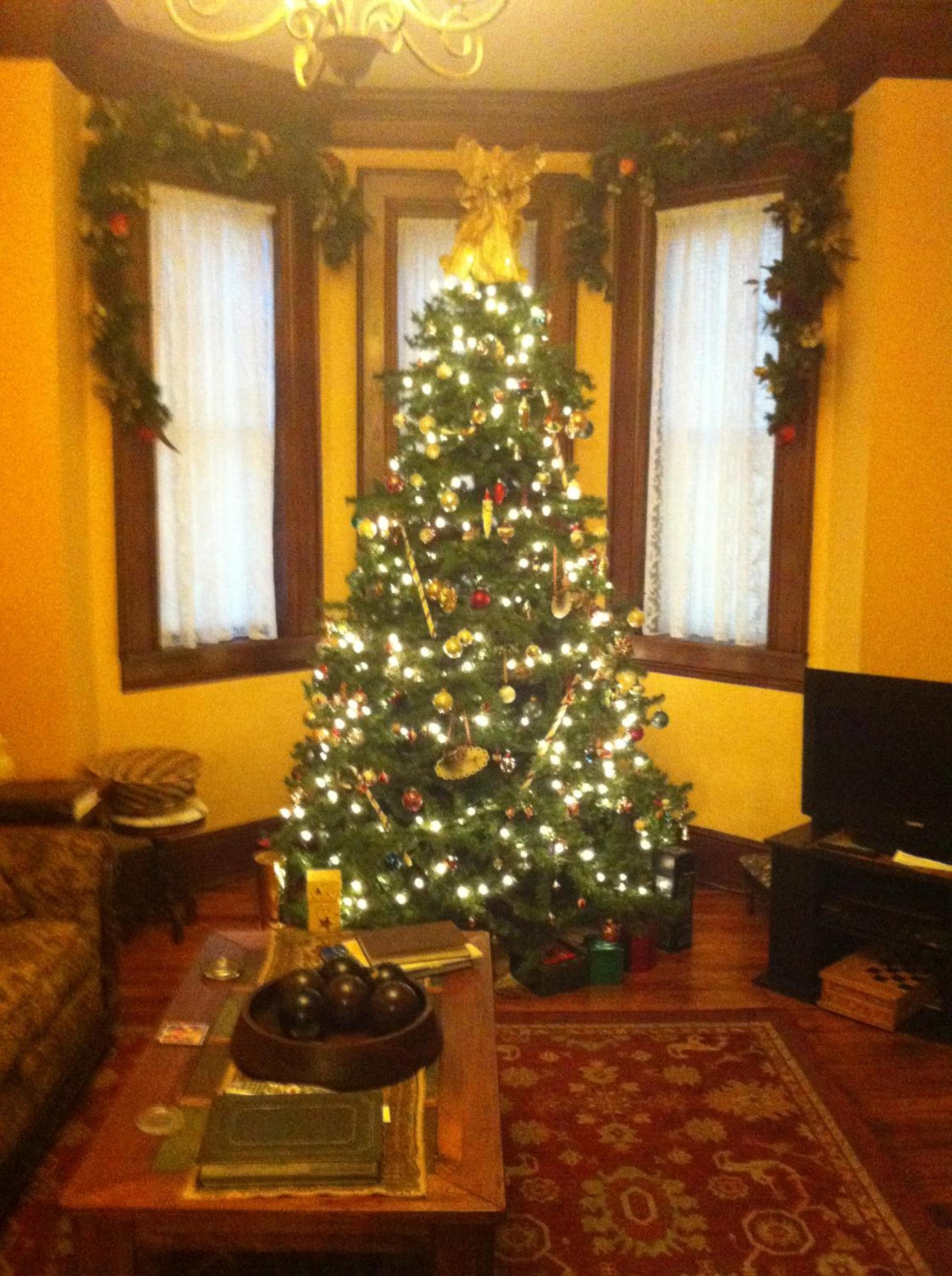 Photo 12