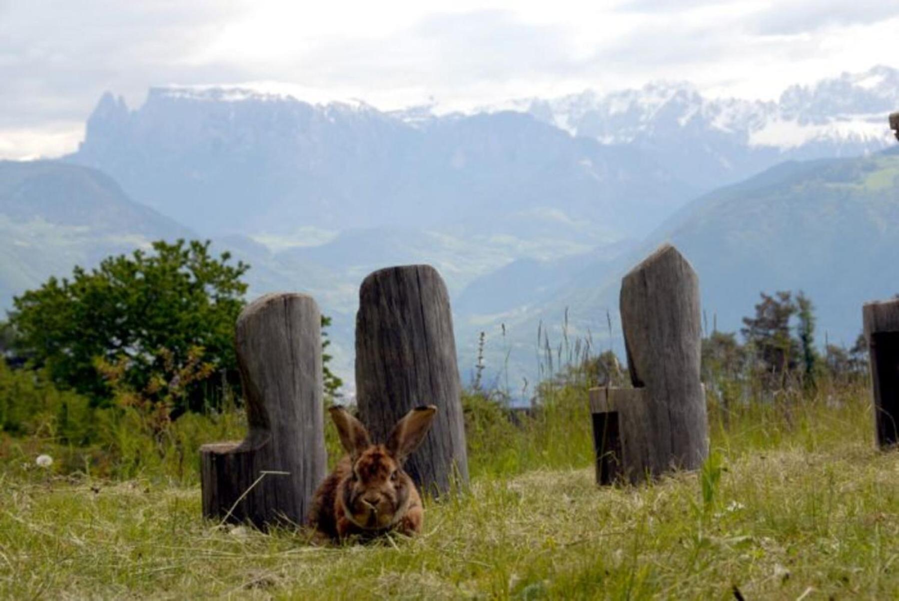 Regalterhof Eppan