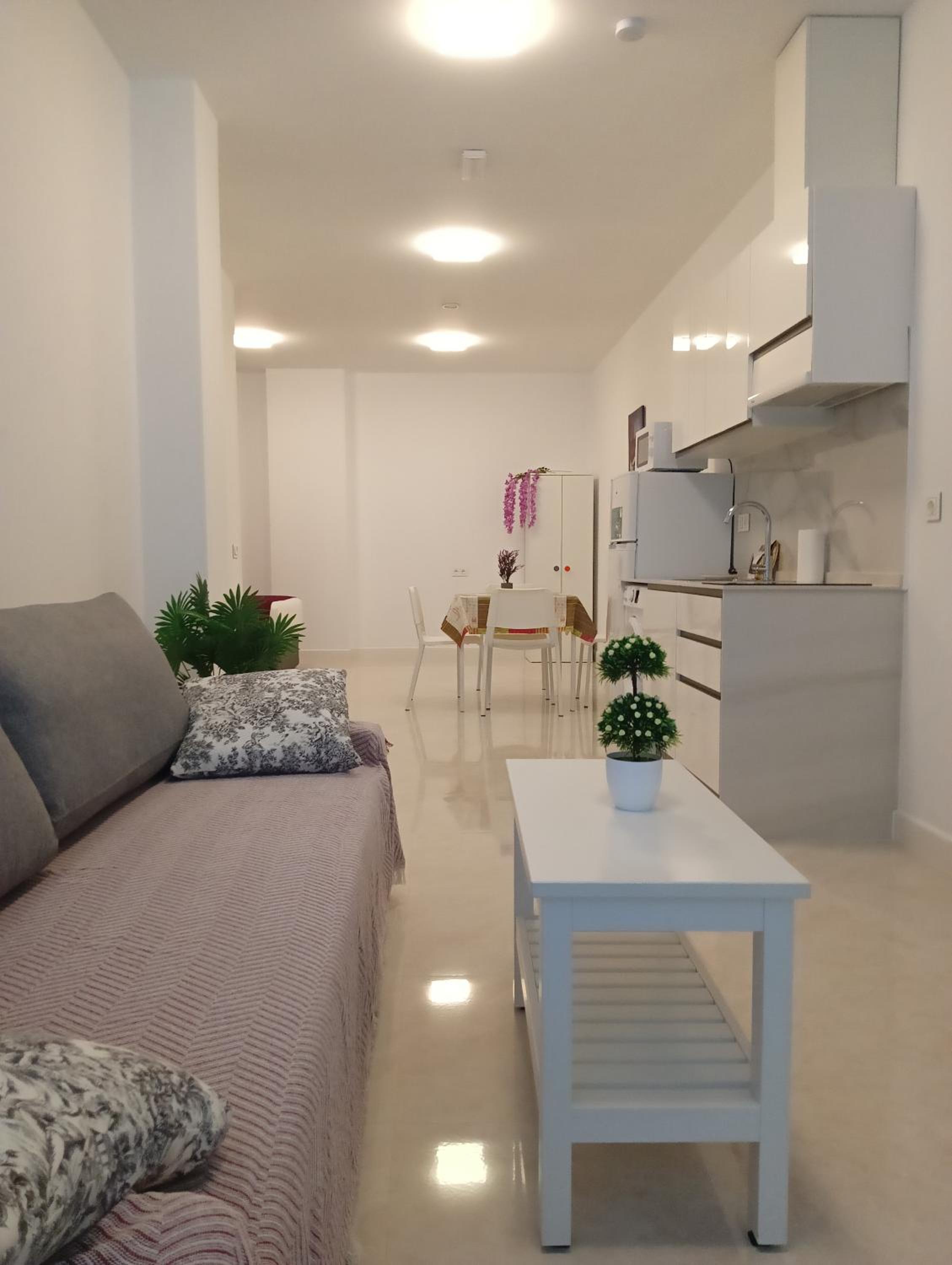 RentalSevilla San Luis
