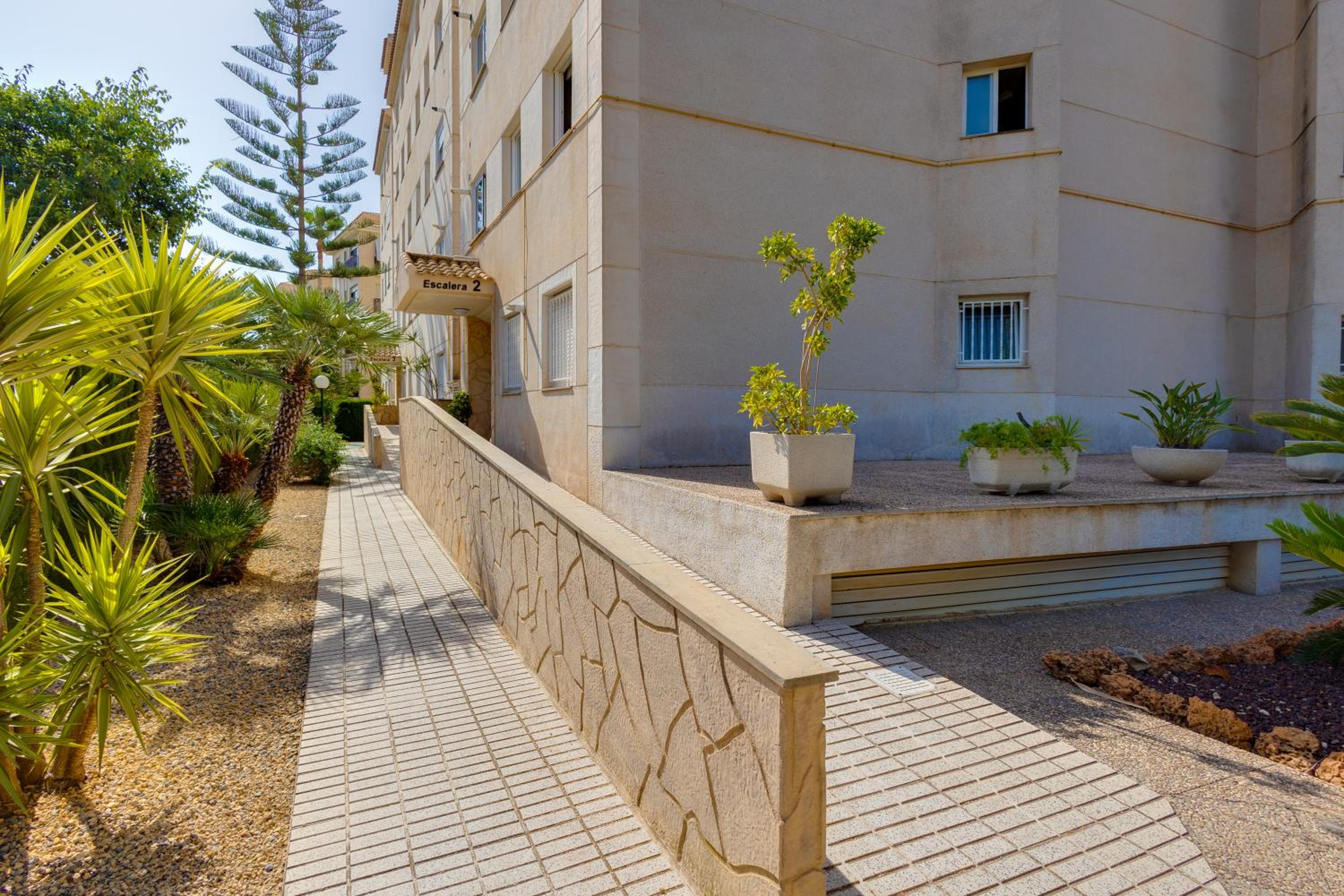 Apartamentos Oasis