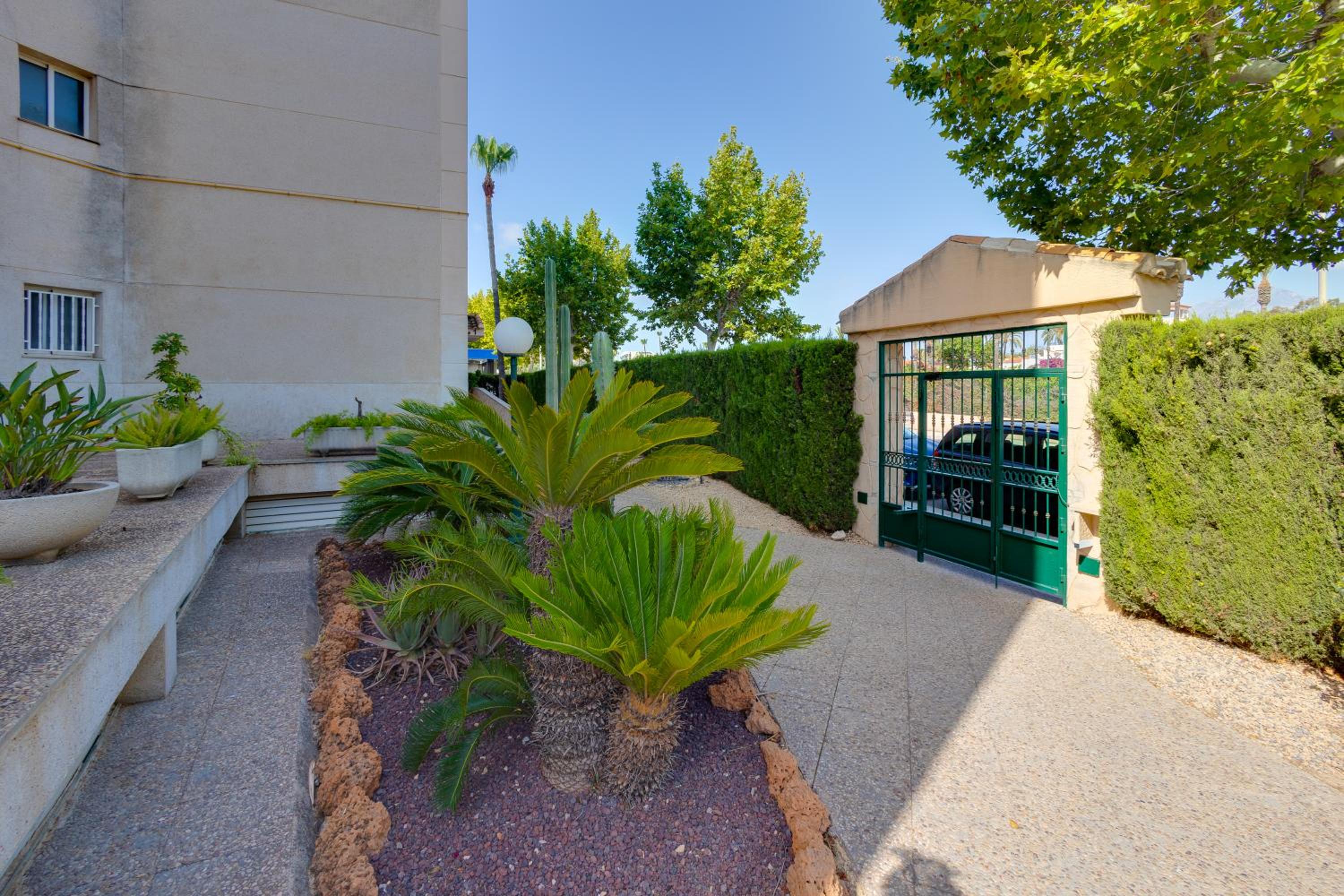 Apartamentos Oasis