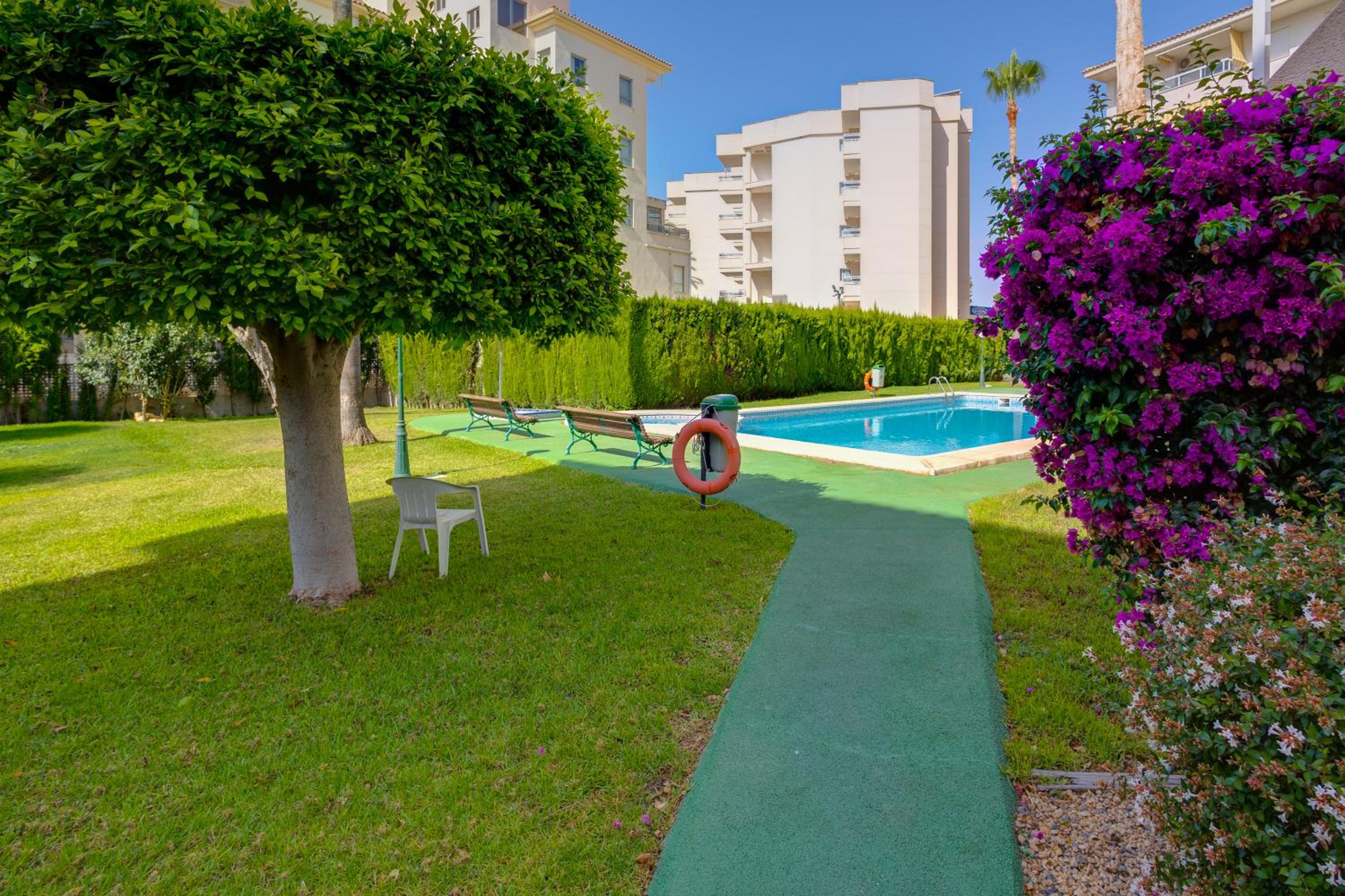 Apartamentos Oasis