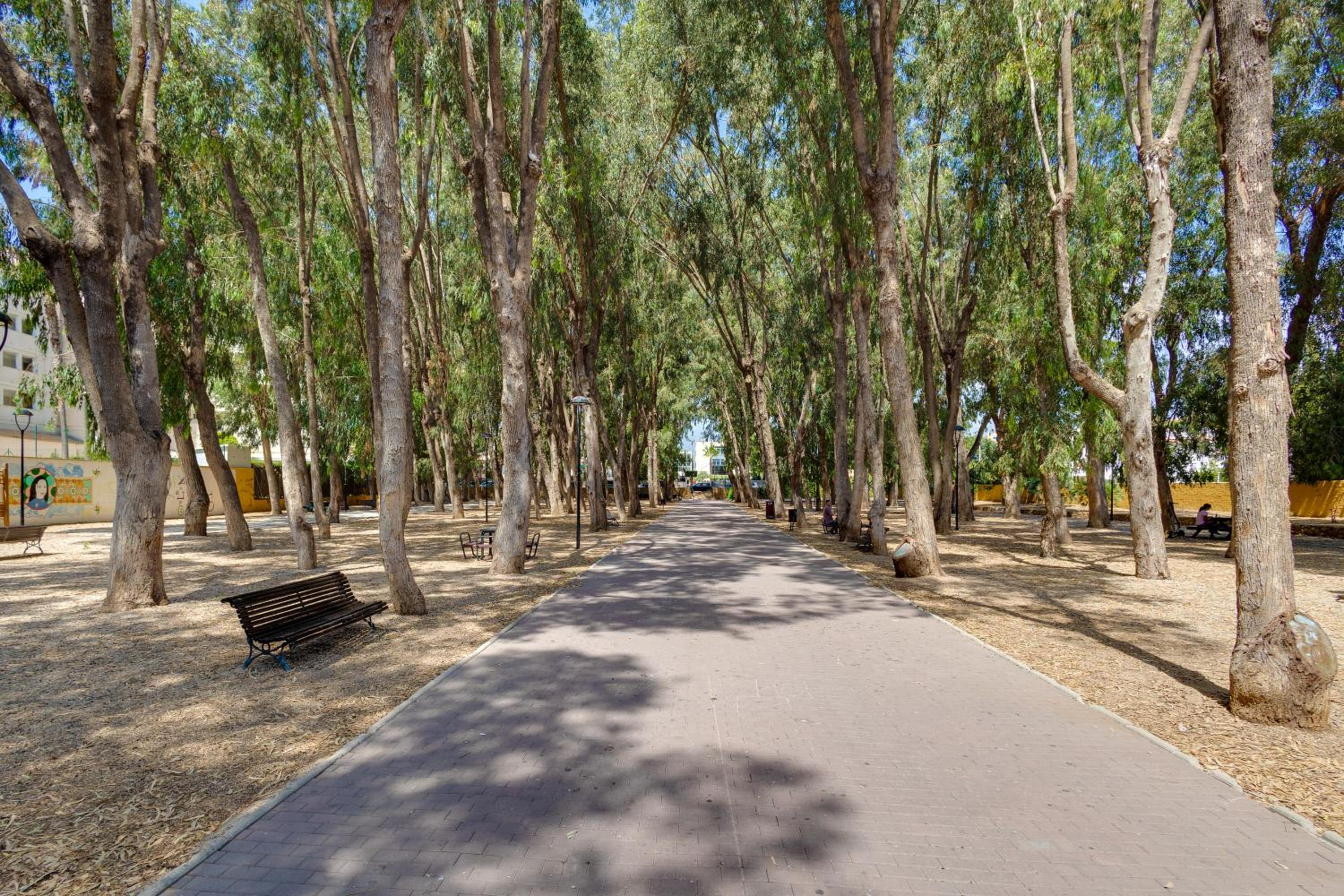 Apartamentos Oasis