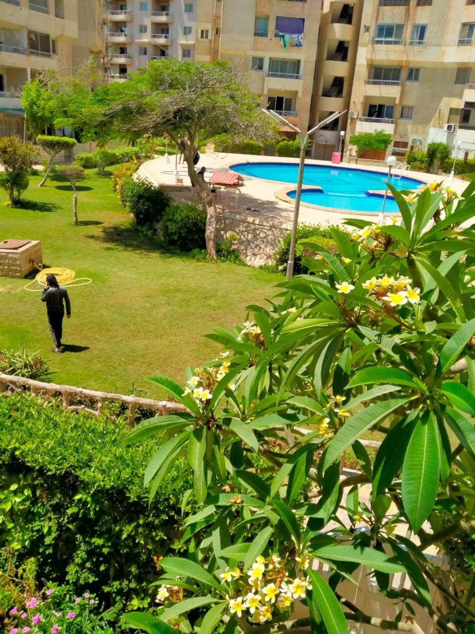 Green Paradise Compound Group 05 view 4