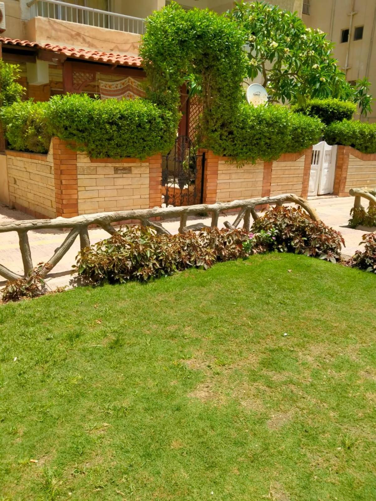 Photo 11