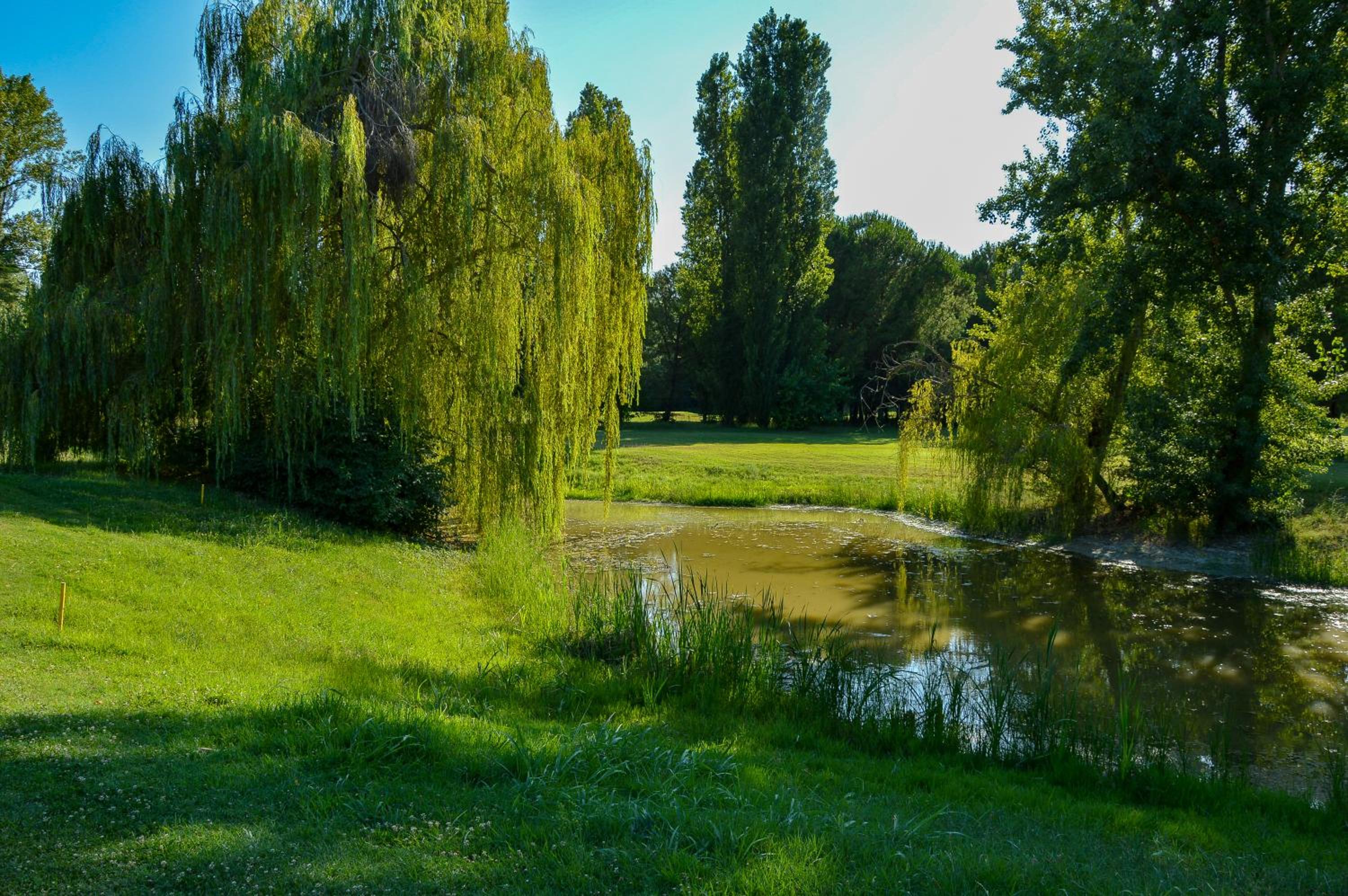 Photo 31