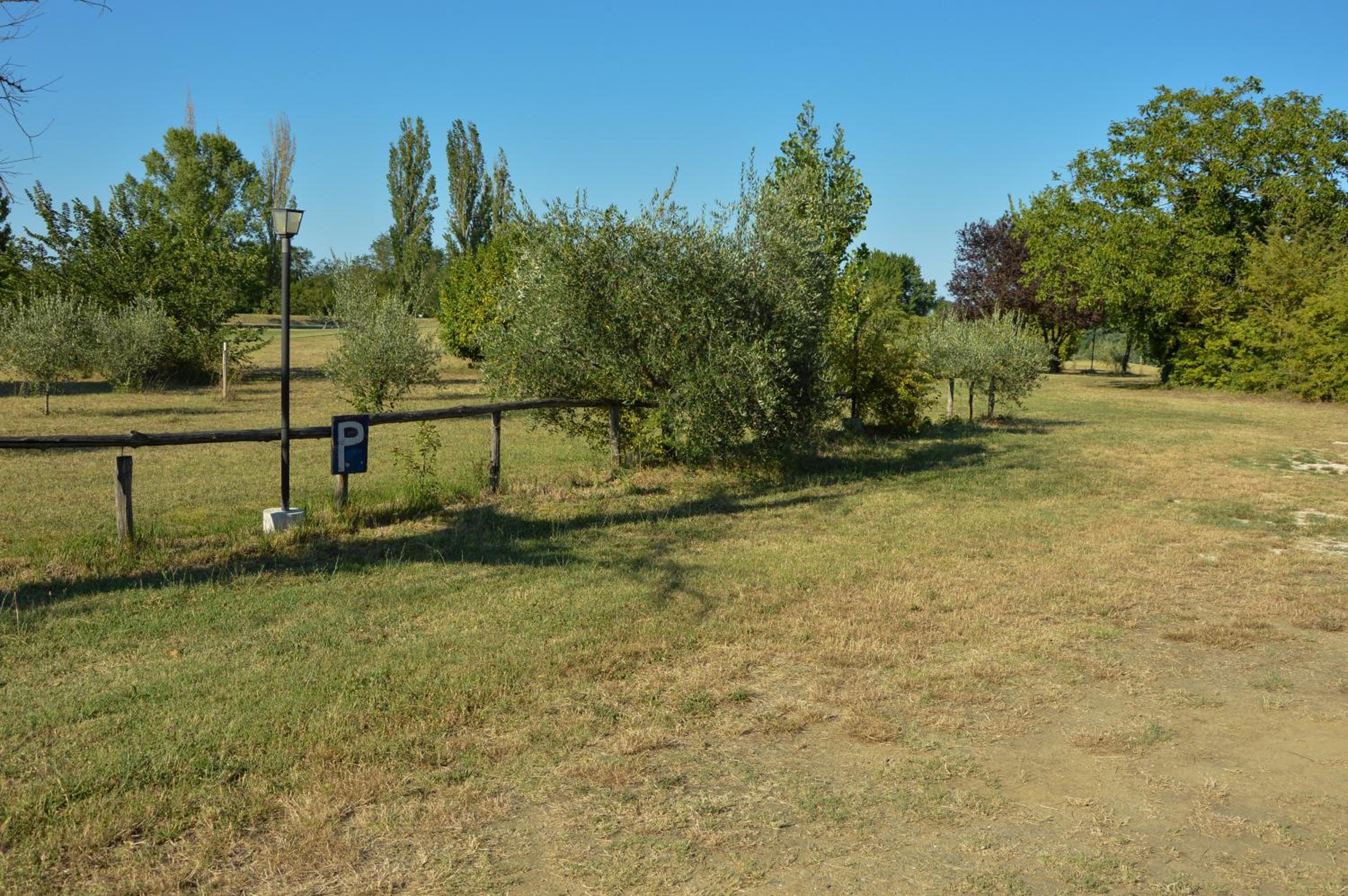 Photo 35