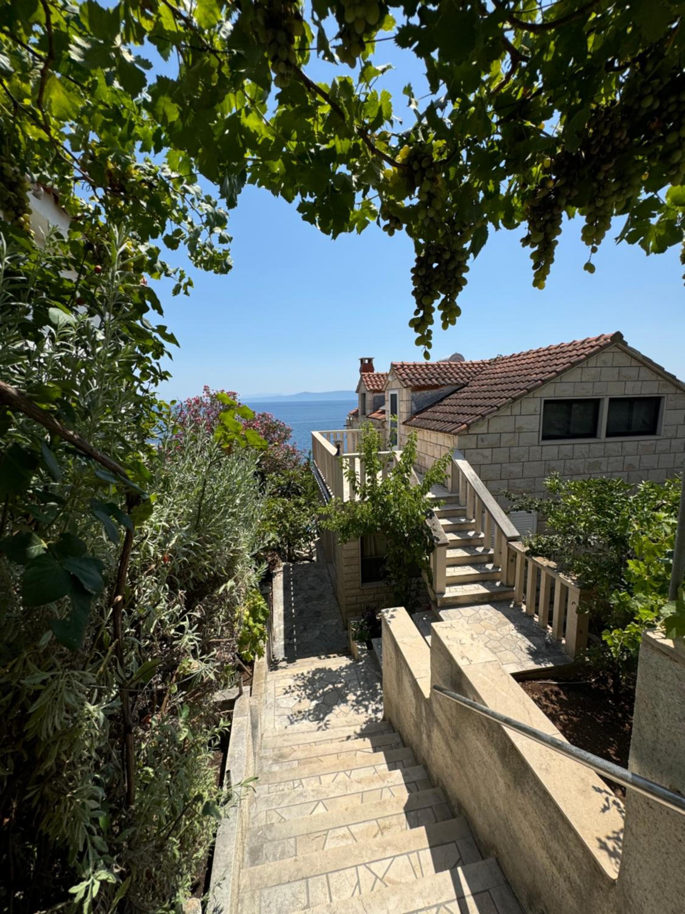 Apartments Villa Suzana with Private Pool - Putinak, Brac view 4