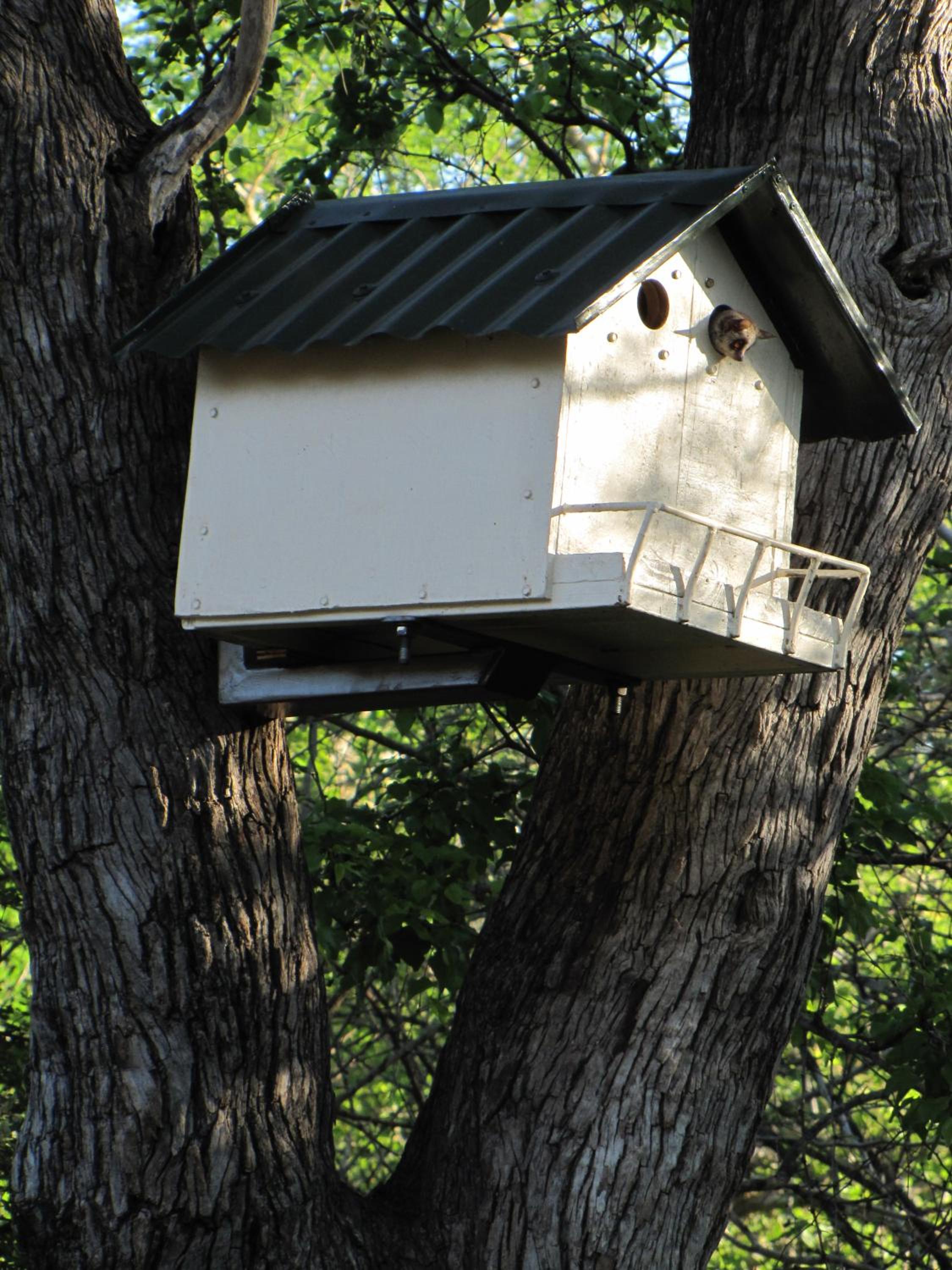 SERENITY Du Bois Lodge
